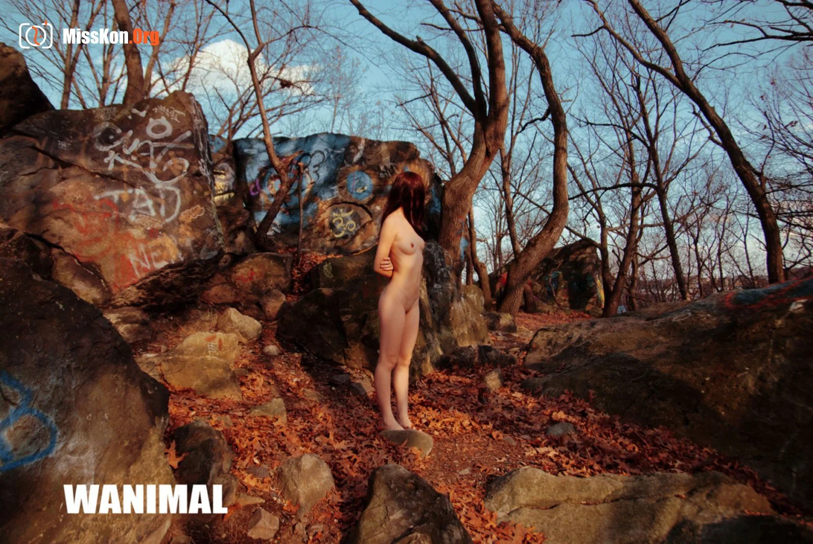 2014 Portfolio - Photo 13