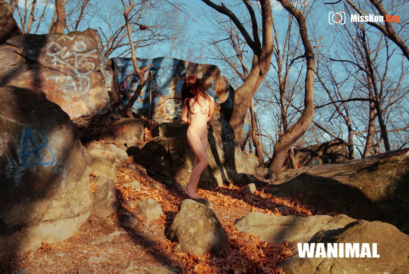 2014 Portfolio - Photo 15