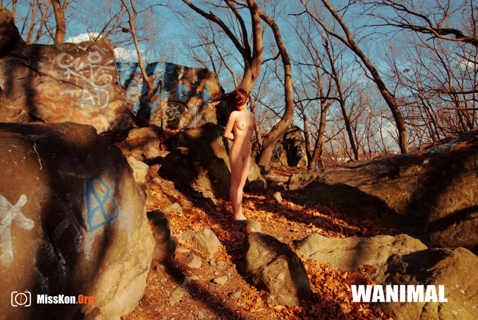 2014 Portfolio - Photo 16
