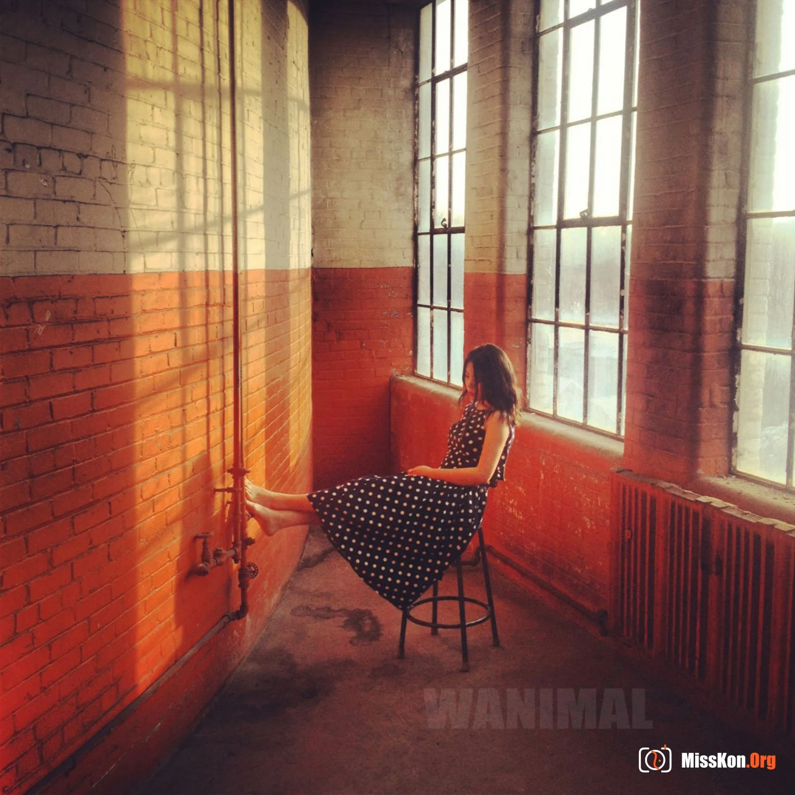 2014 Portfolio - Photo 17
