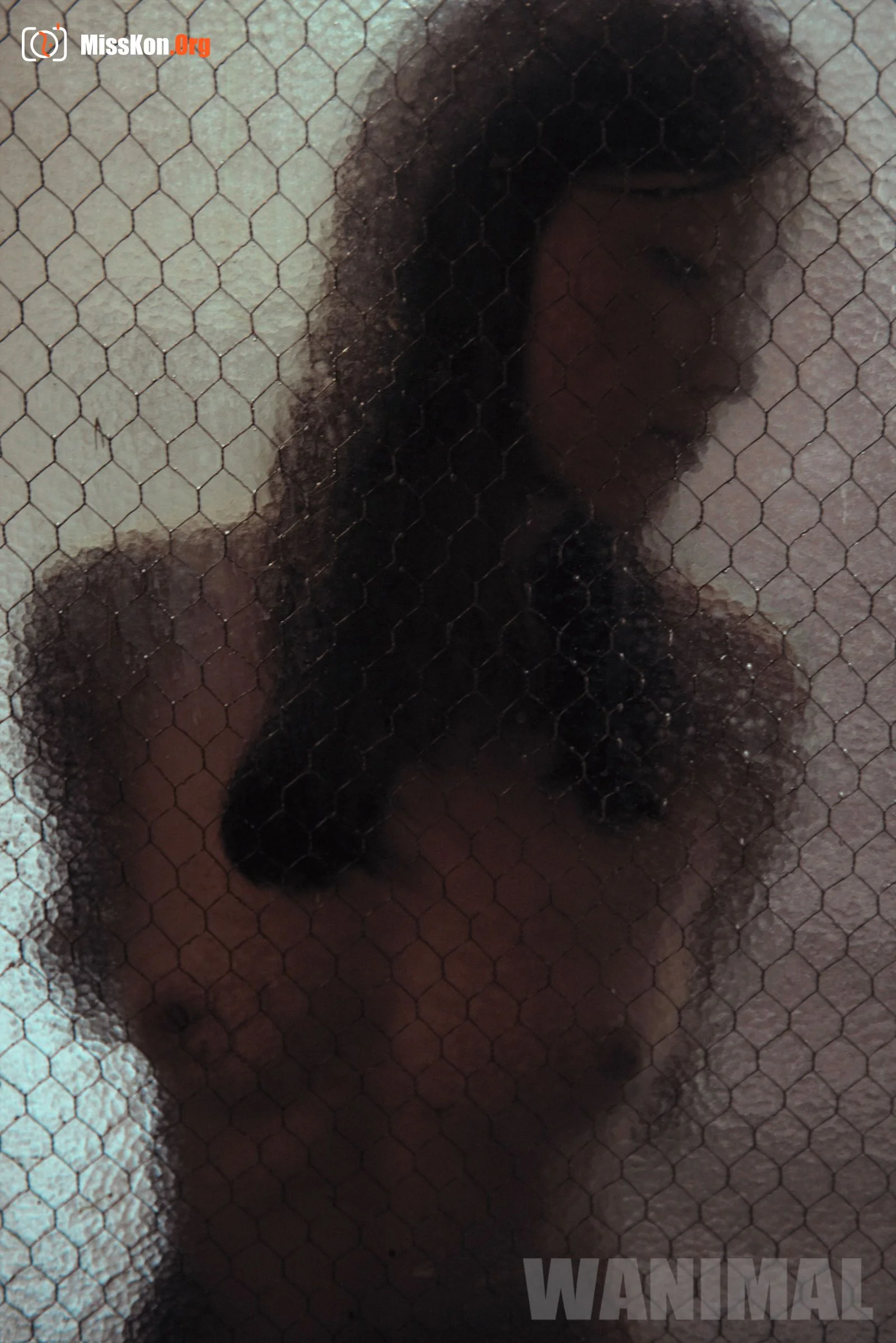 2016 Portfolio - Photo 13