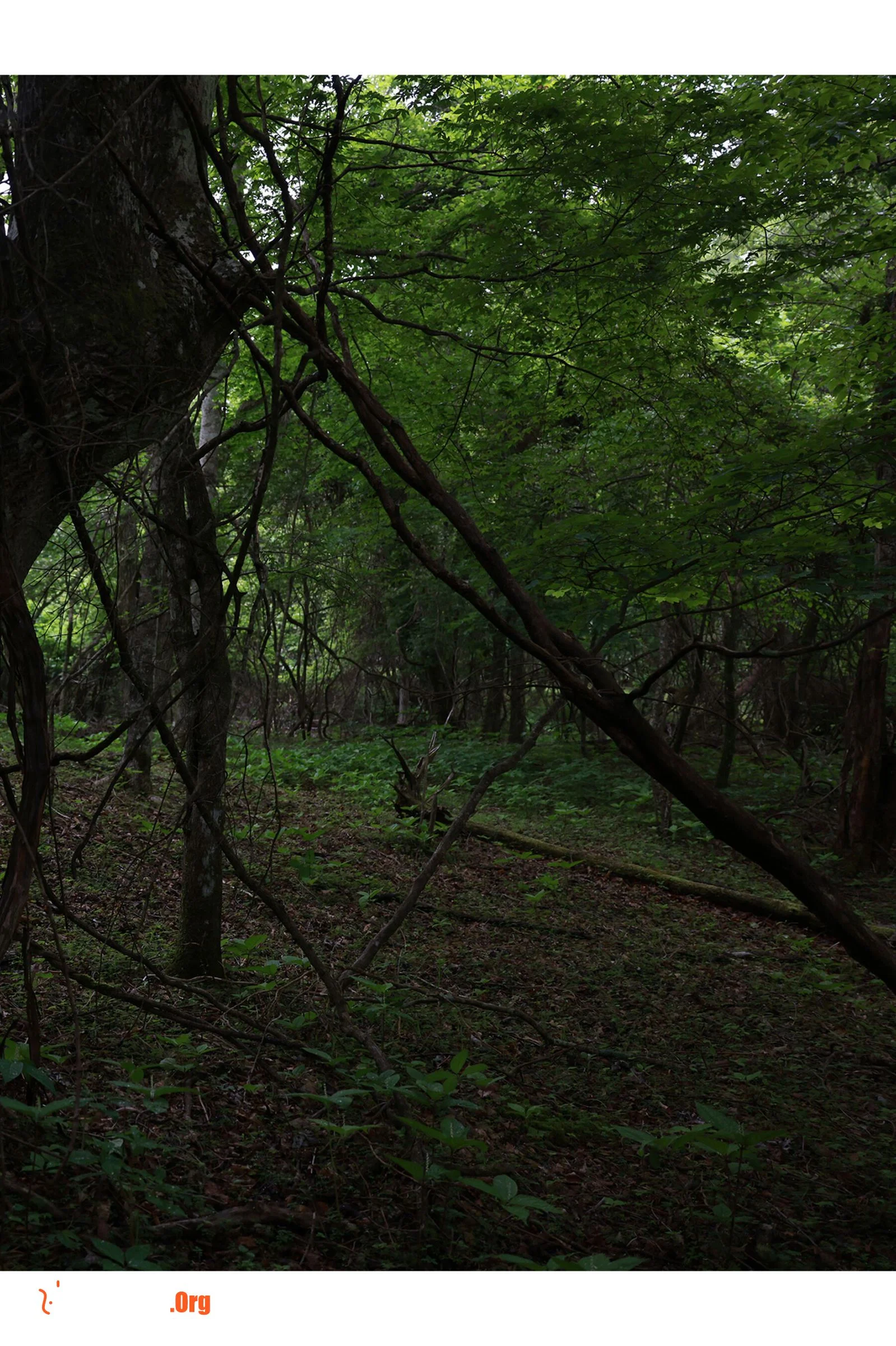 8woman Last Dance - Photo 2