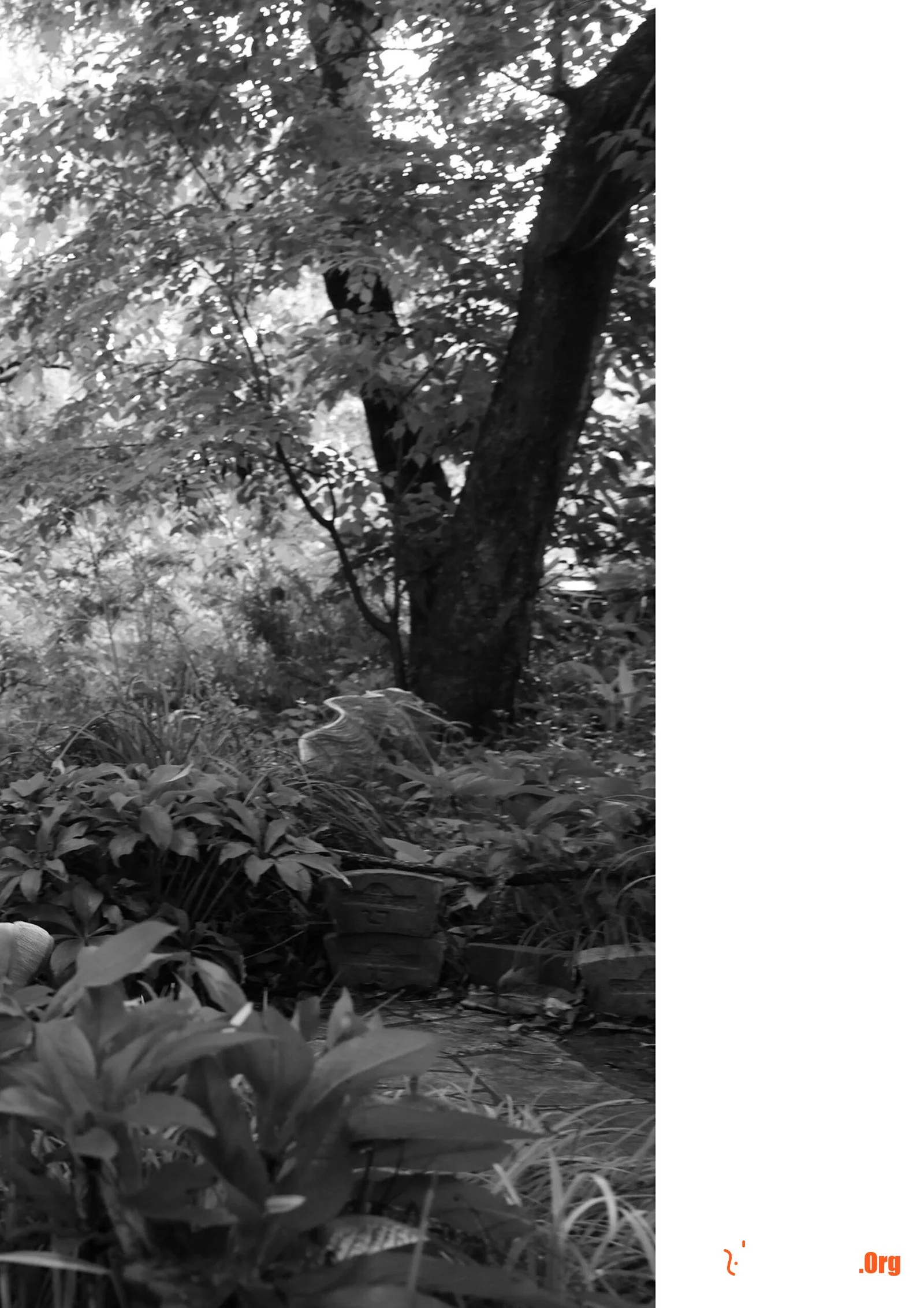 8woman SIDE：B (2021-11-15) - Photo 6