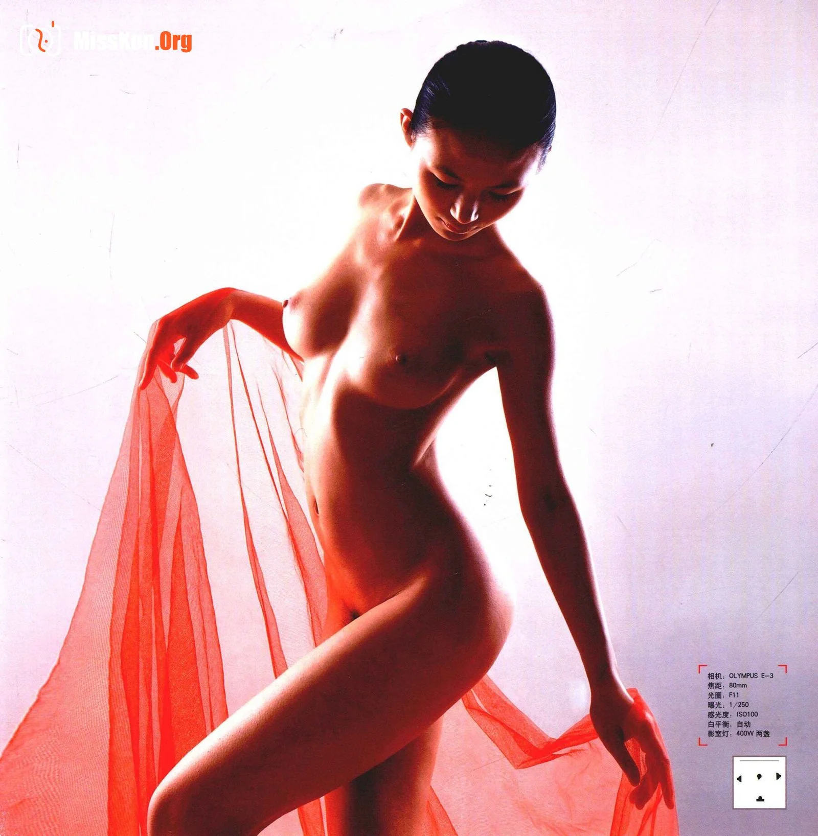 Advanced Nude Photography Tutorial - Photo 76