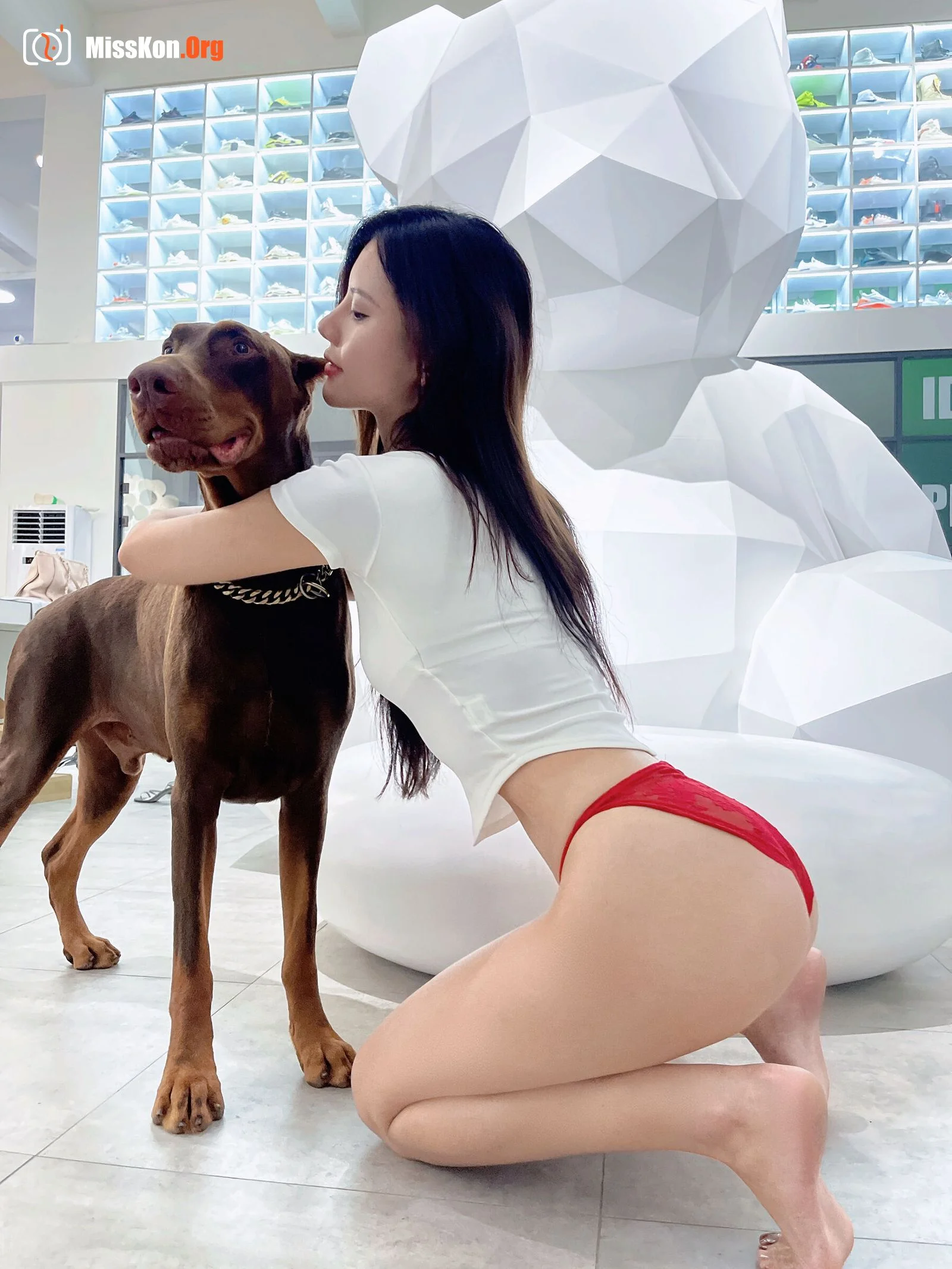 Ah Zhu: Doberman pinscher - Photo 11