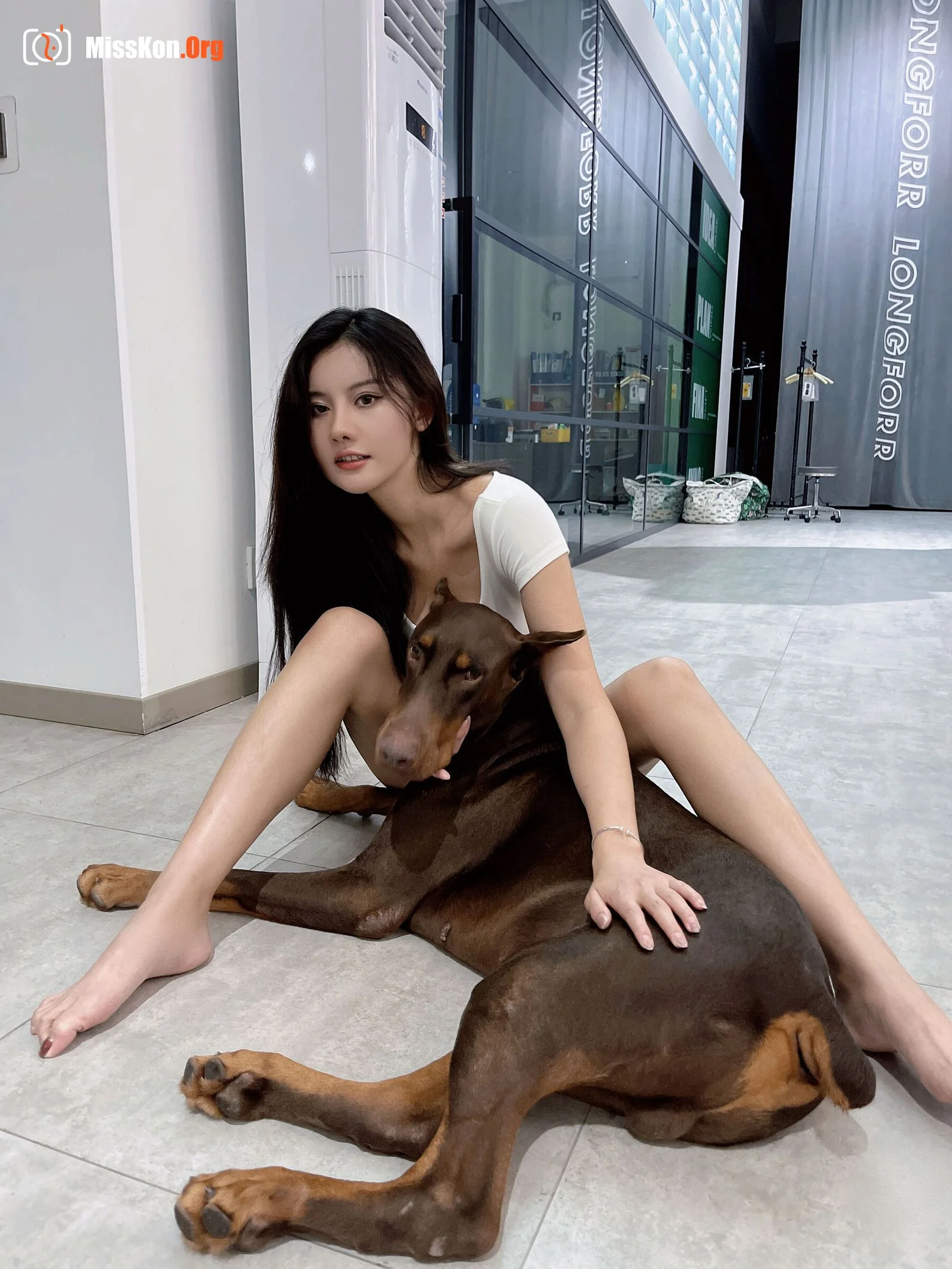 Ah Zhu: Doberman pinscher - Photo 16