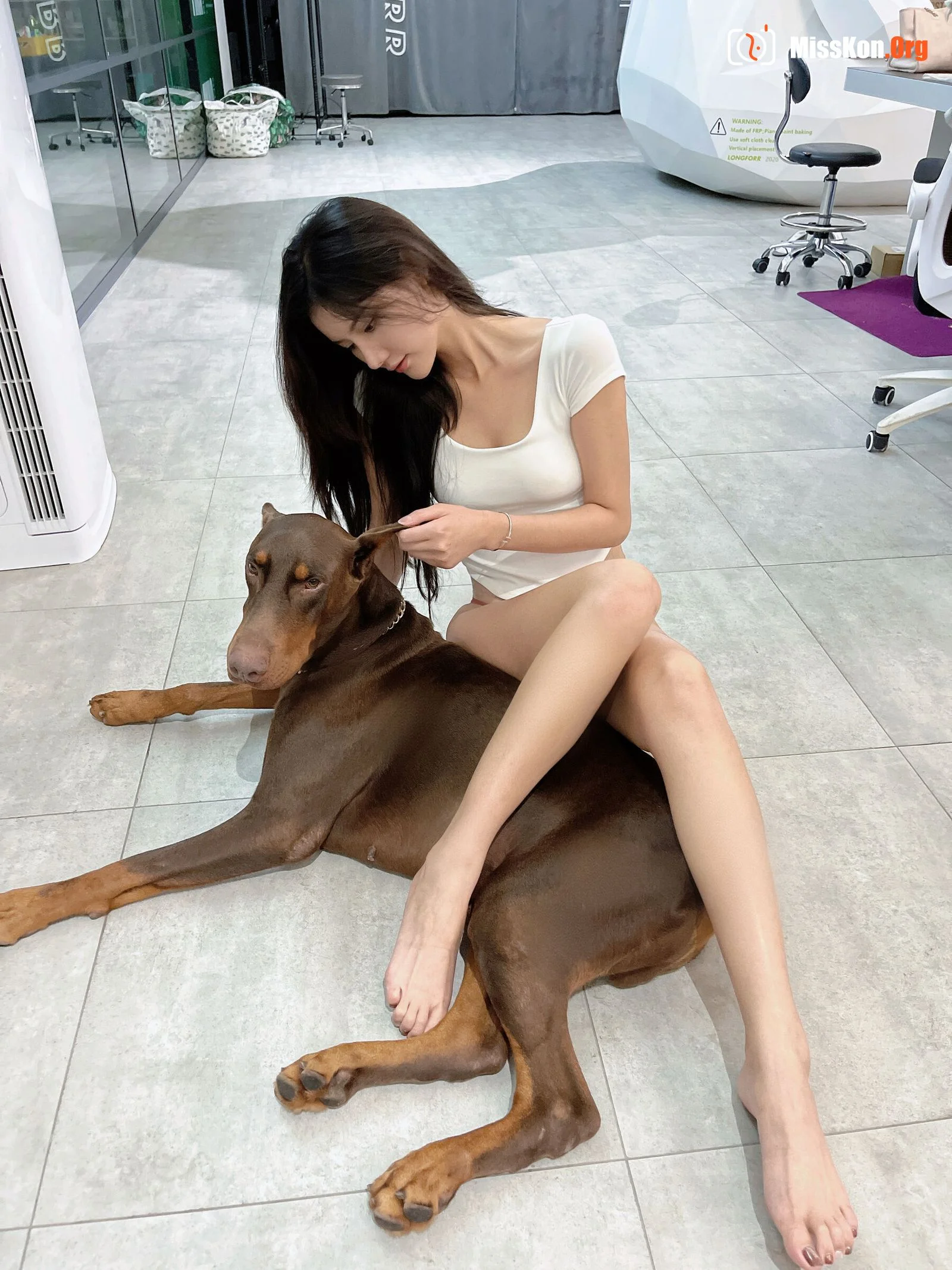 Ah Zhu: Doberman pinscher - Photo 18