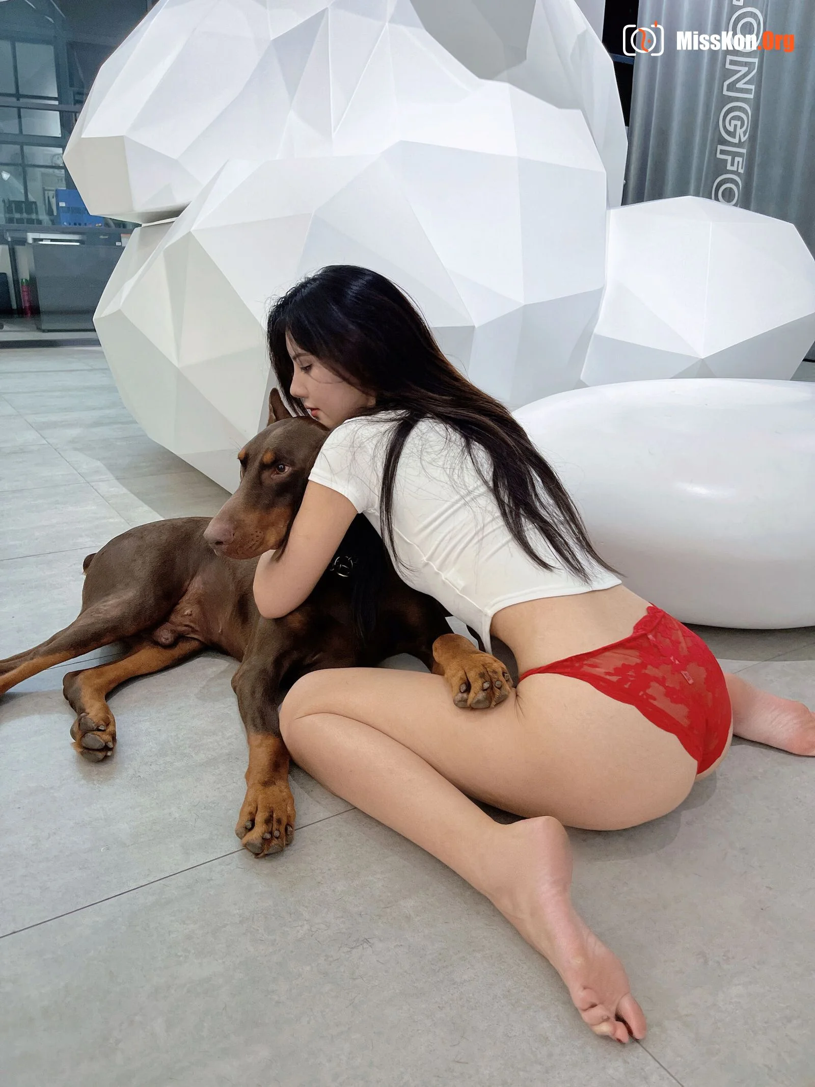 Ah Zhu: Doberman pinscher - Photo 2