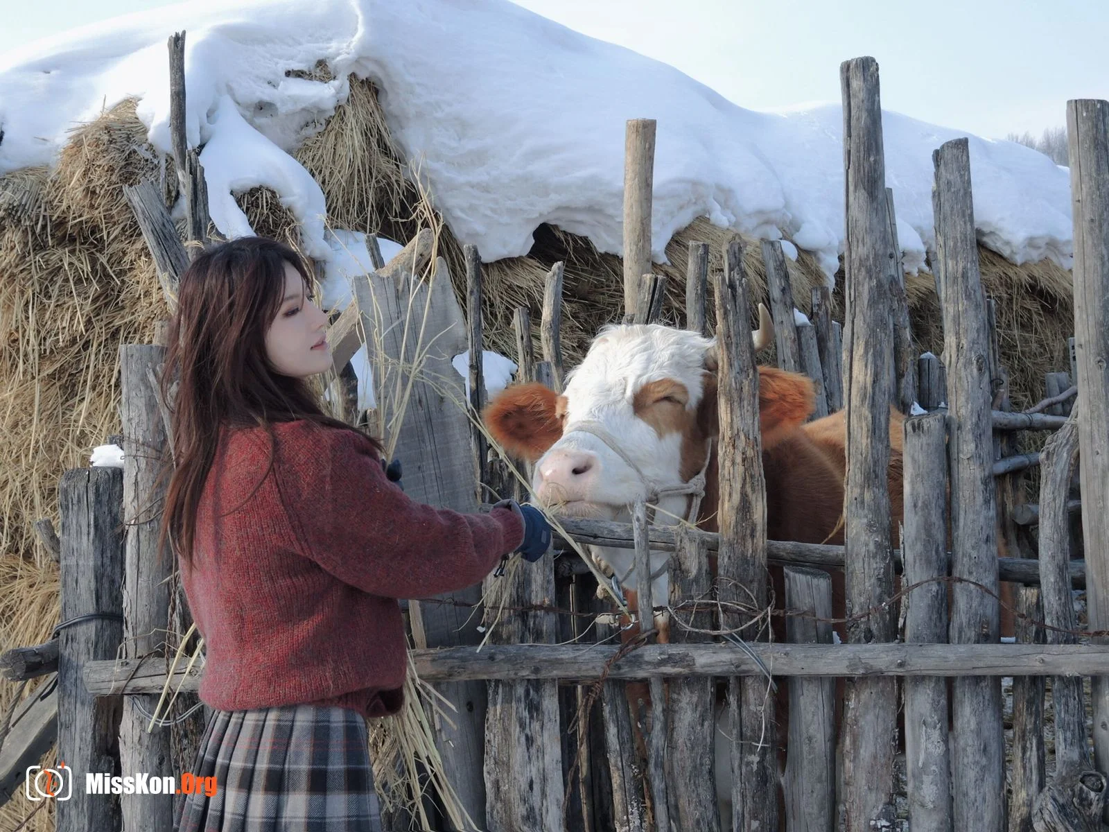 Ah Zhu: Snowland Elf - Photo 11