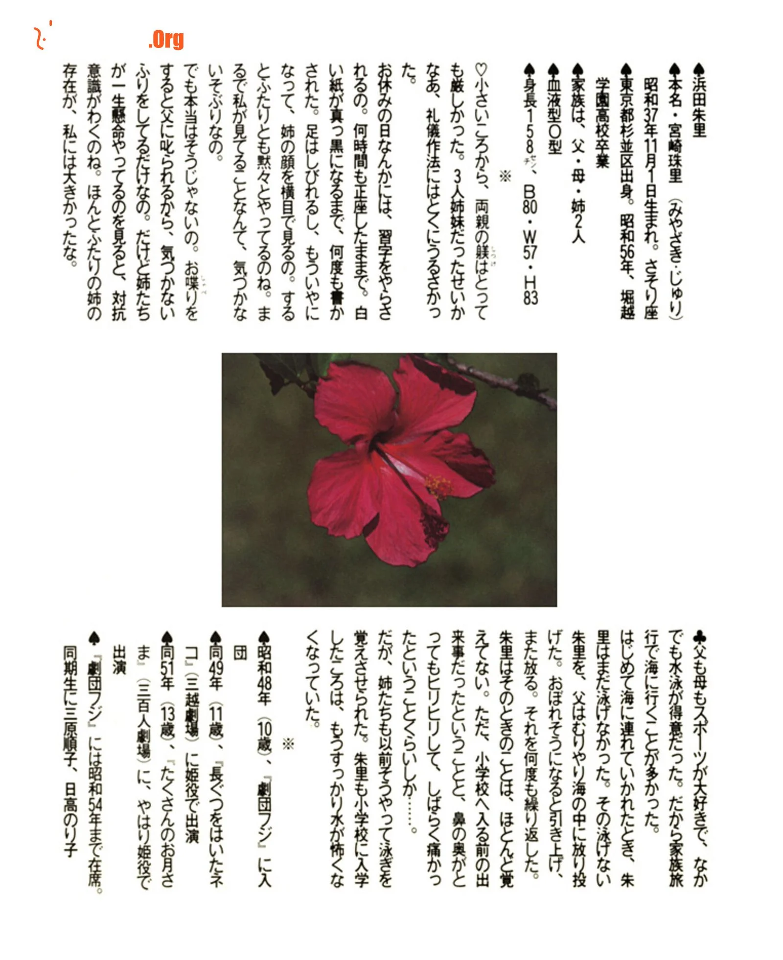 Akari Hamada: Laughing (Vol. 1982.5) - Photo 14