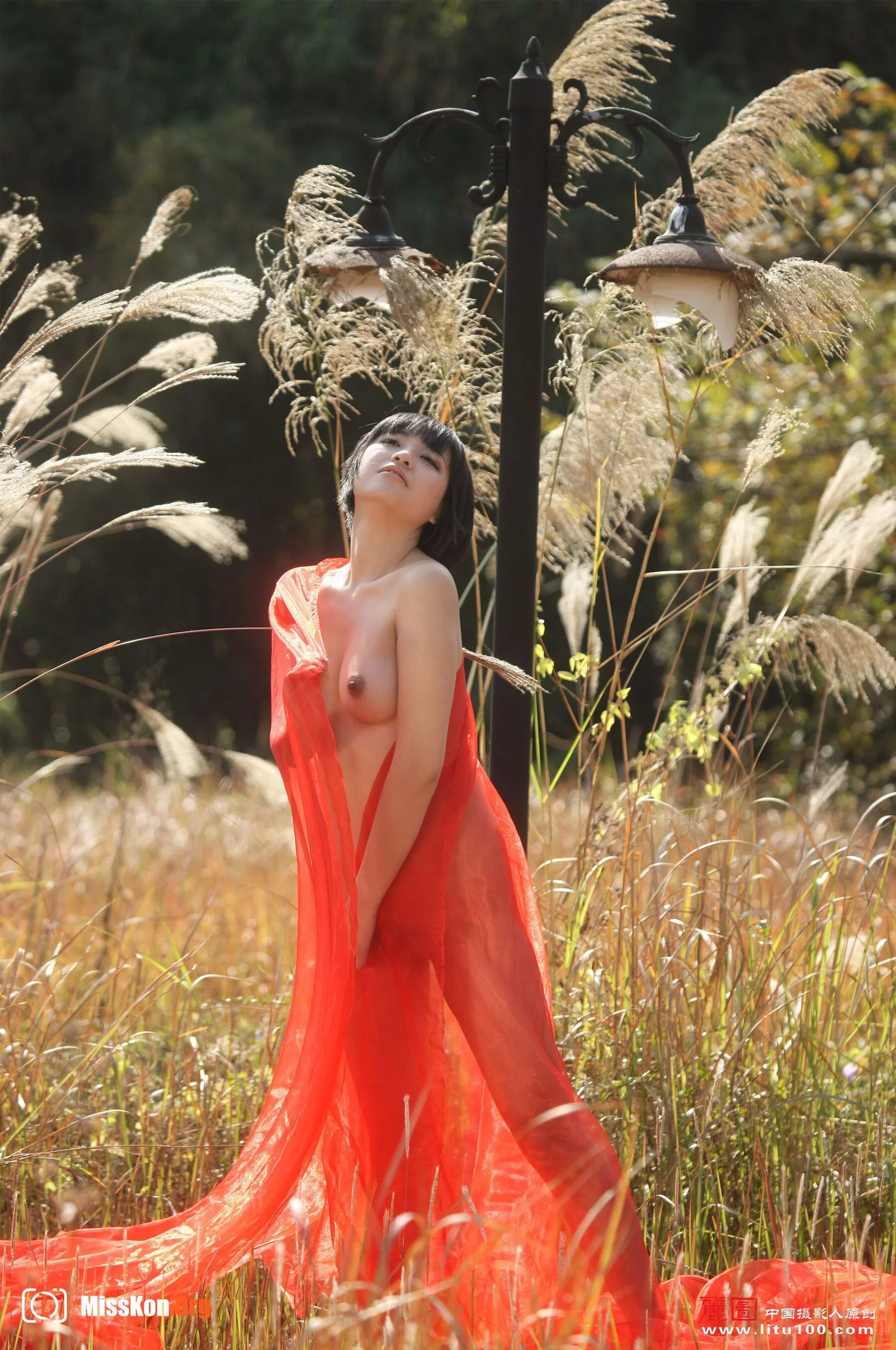 Akemi (2008-12-21) - Photo 3