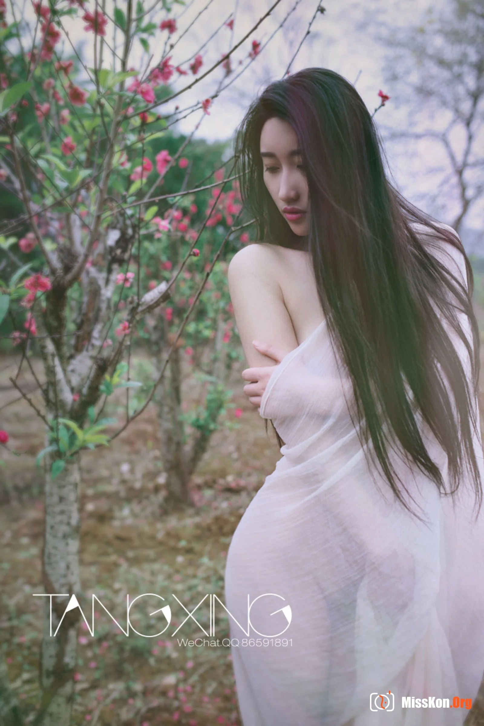 Album - Photo 102