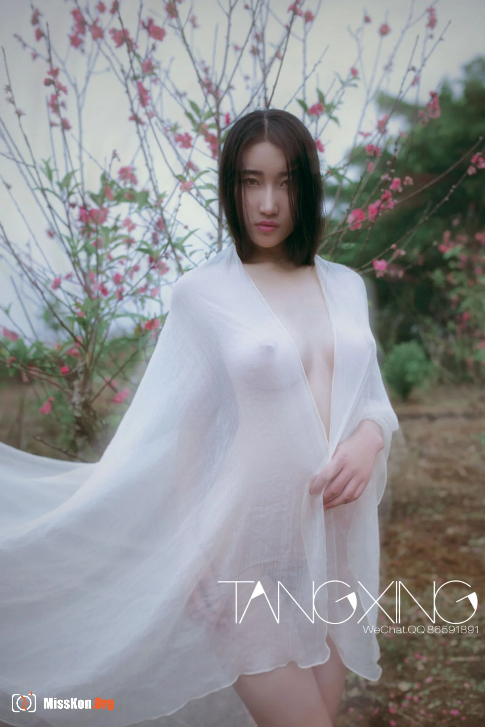 Album - Photo 104