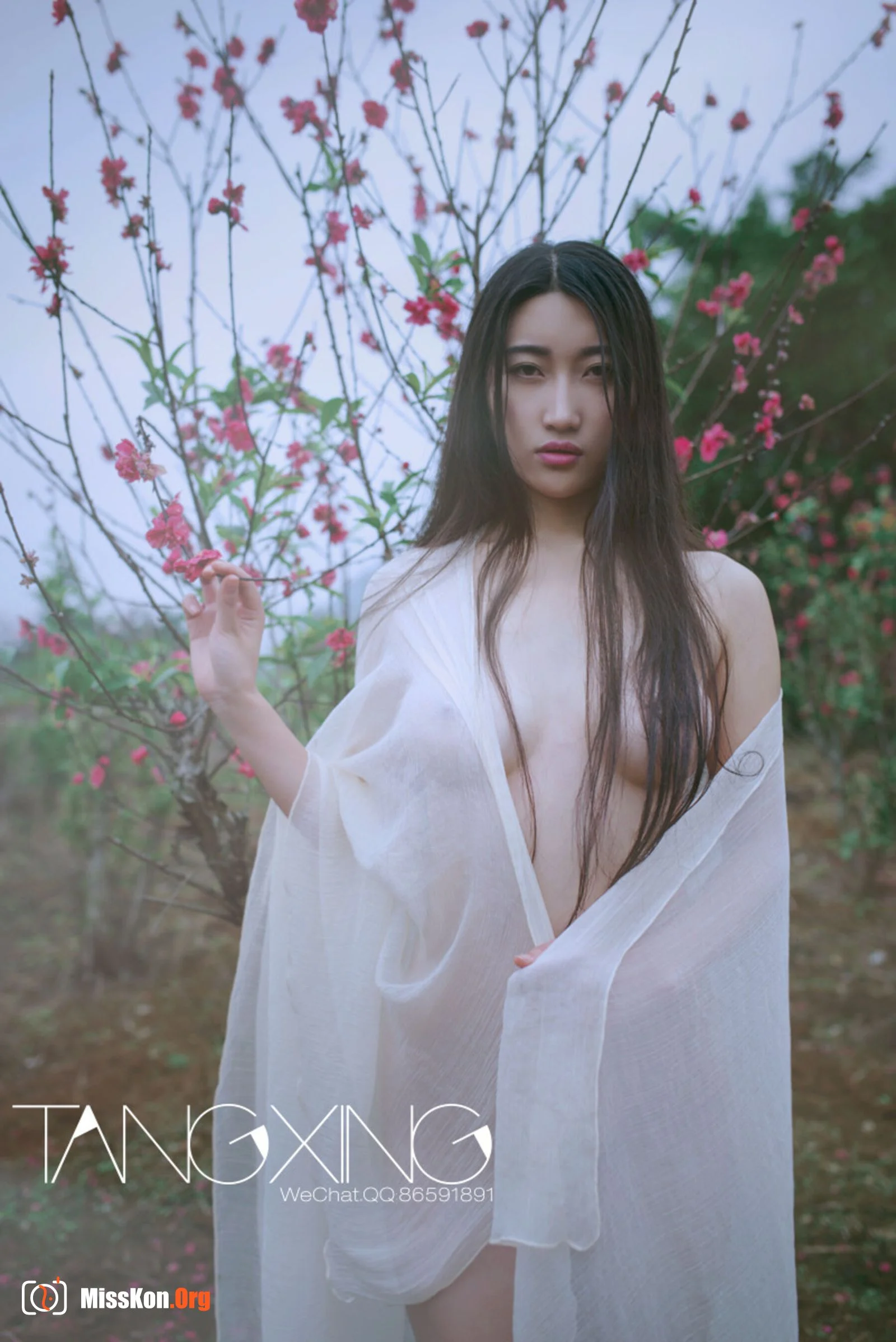 Album - Photo 105