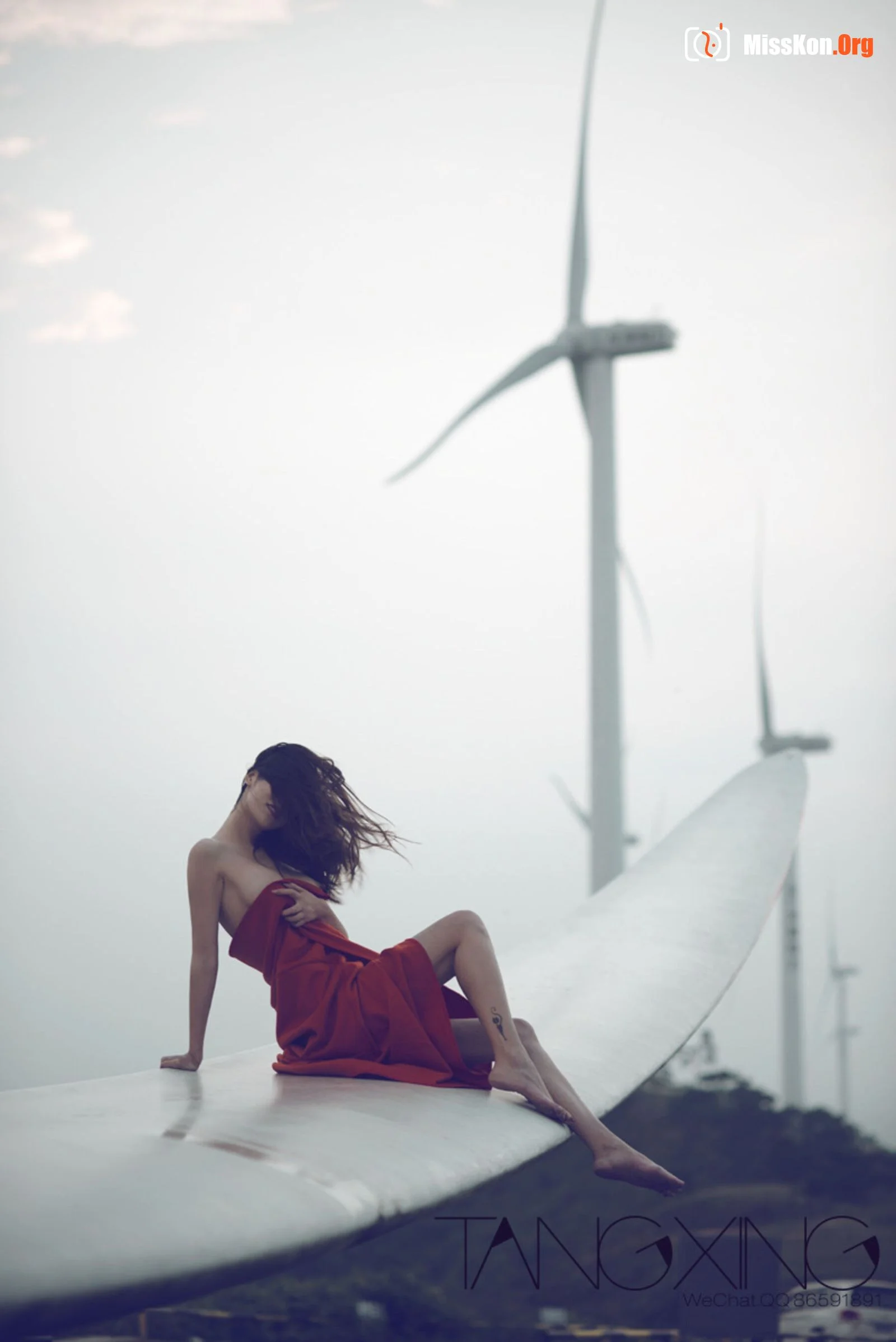 Album - Photo 156