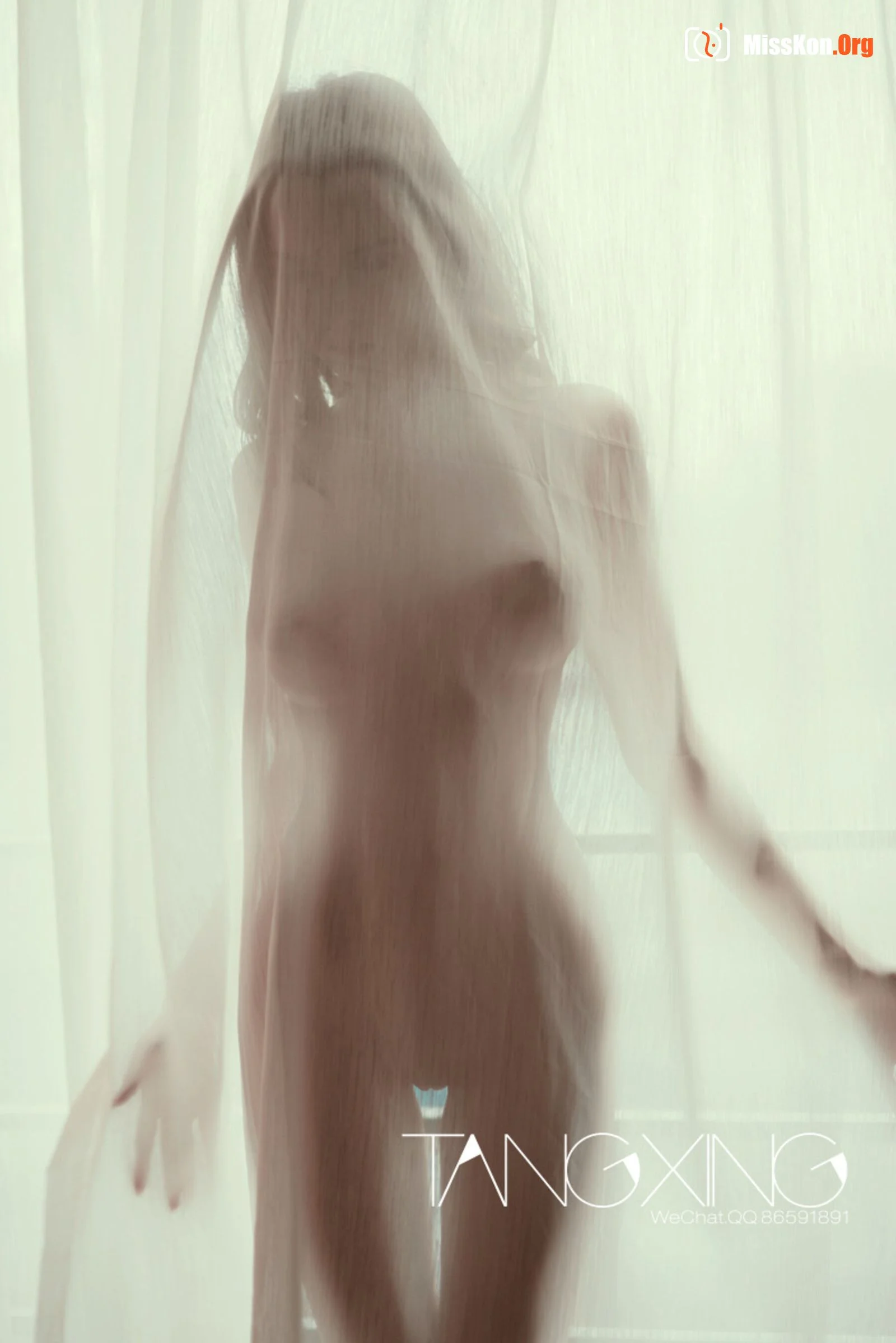 Album - Photo 239