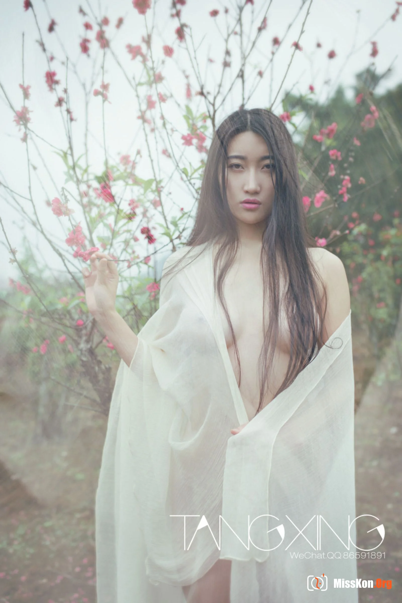 Album - Photo 93
