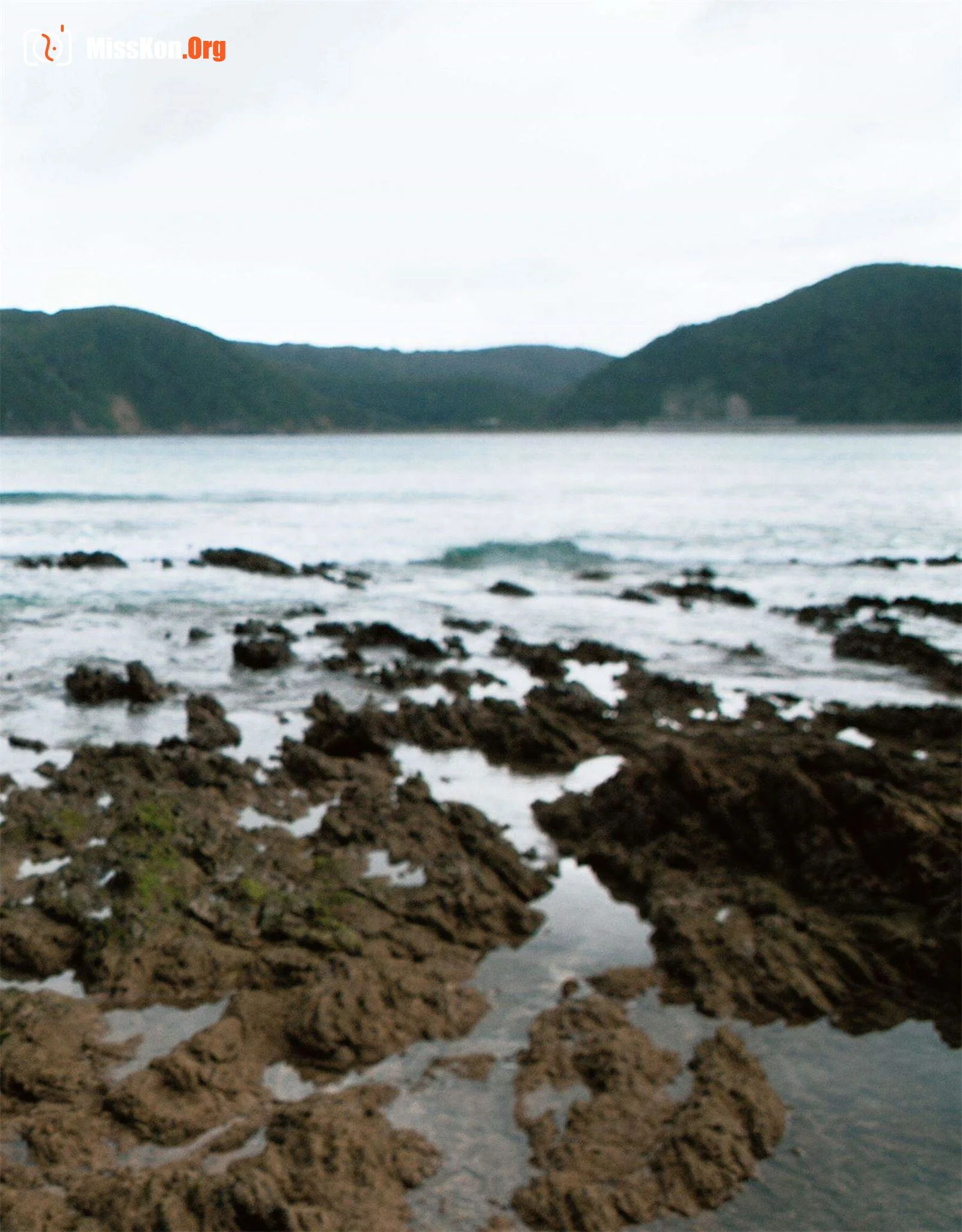 Anjailala: Hello,Goodbye (2014-06-16) - Photo 10