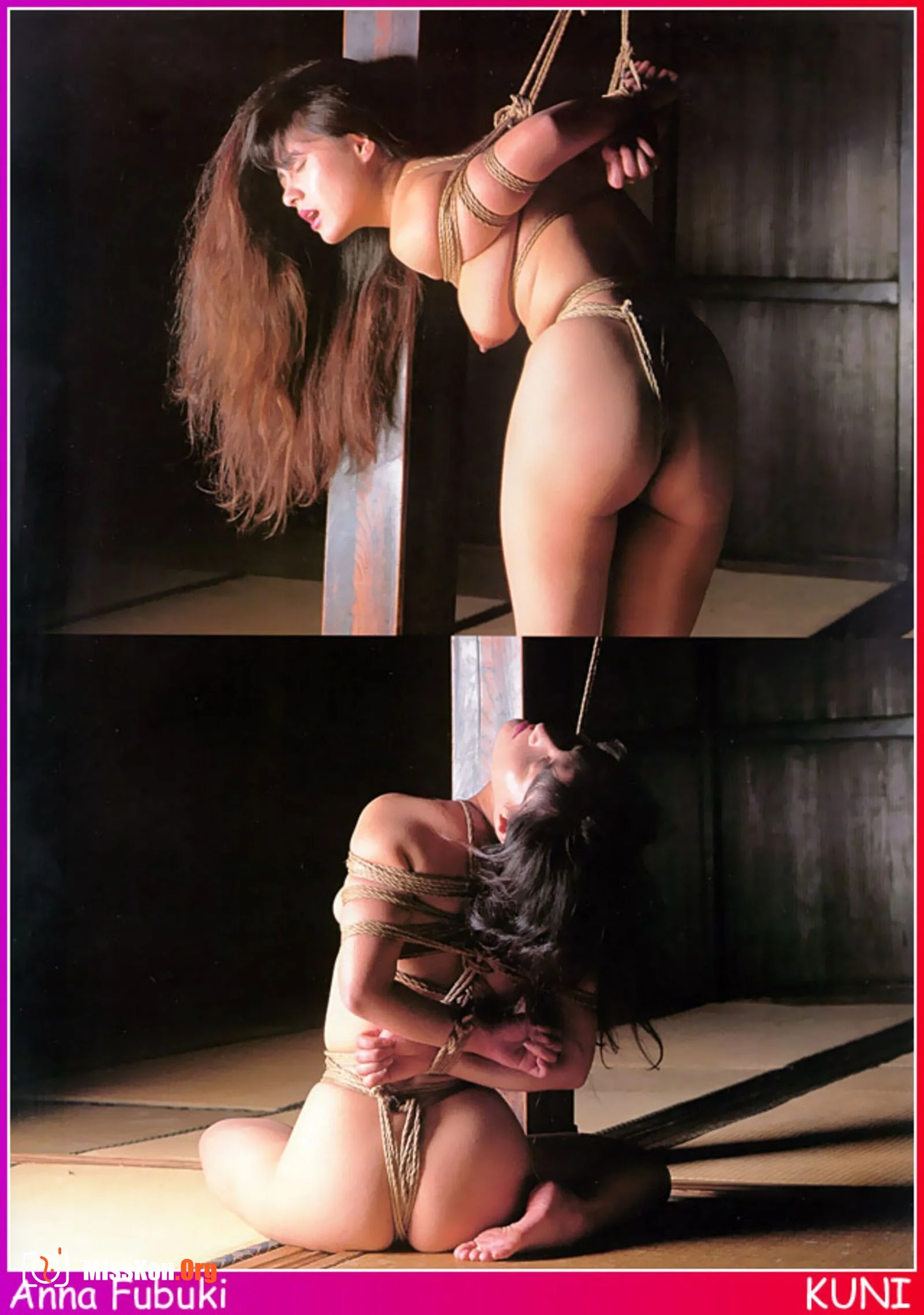 Anna Fubuki - Photo 12