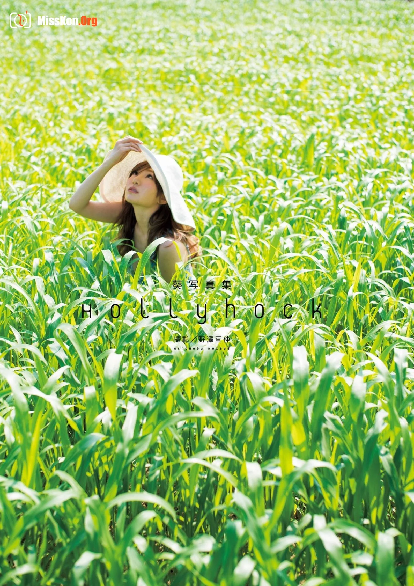 Aoi: Hollyhock - Photo 3