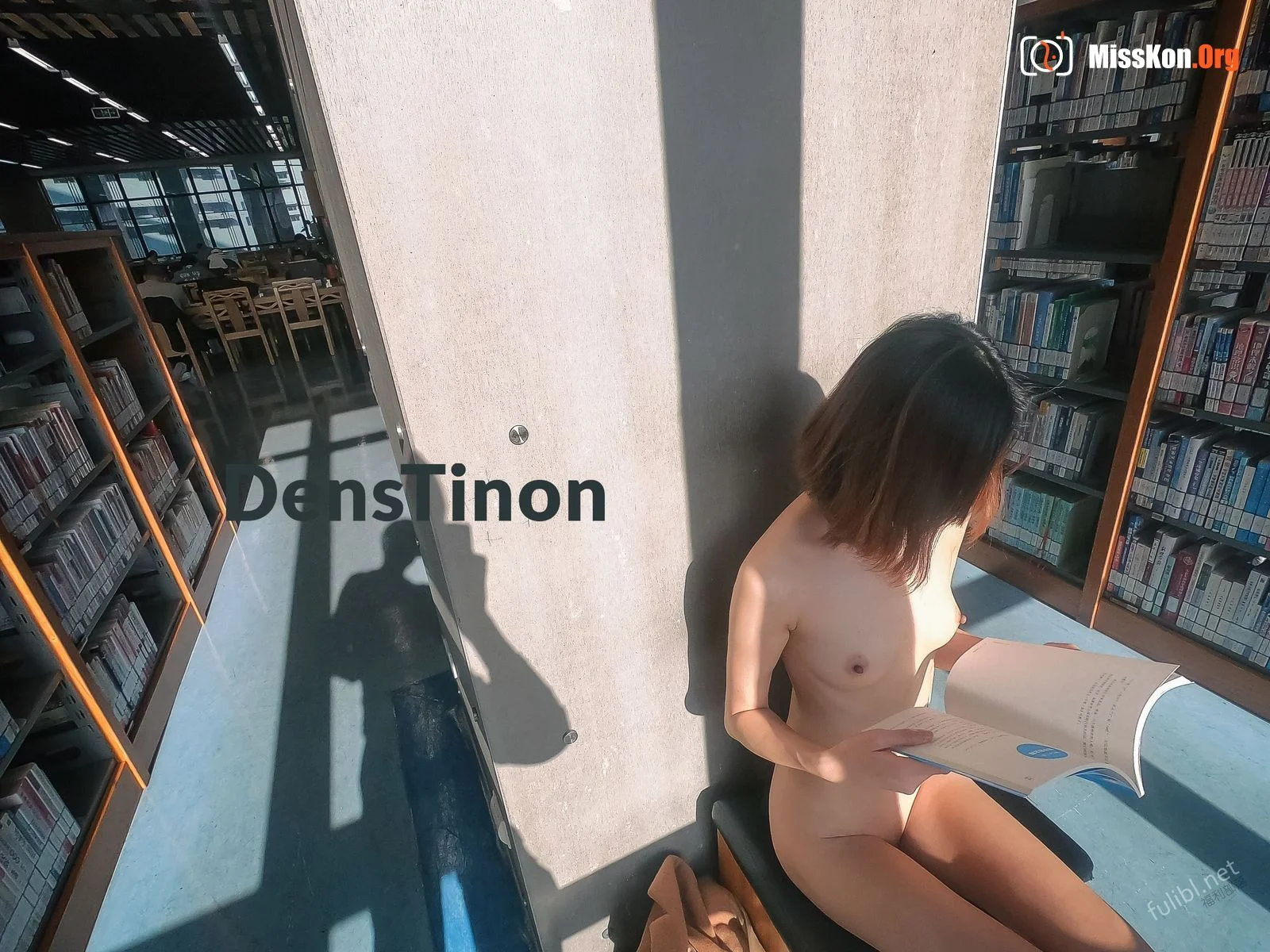 Ariel: Capital Library exposed - Photo 8