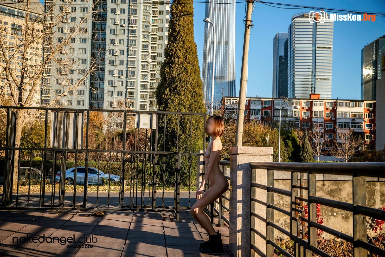 Ariel: Qingfeng Park (2019-01-02) - Photo 13