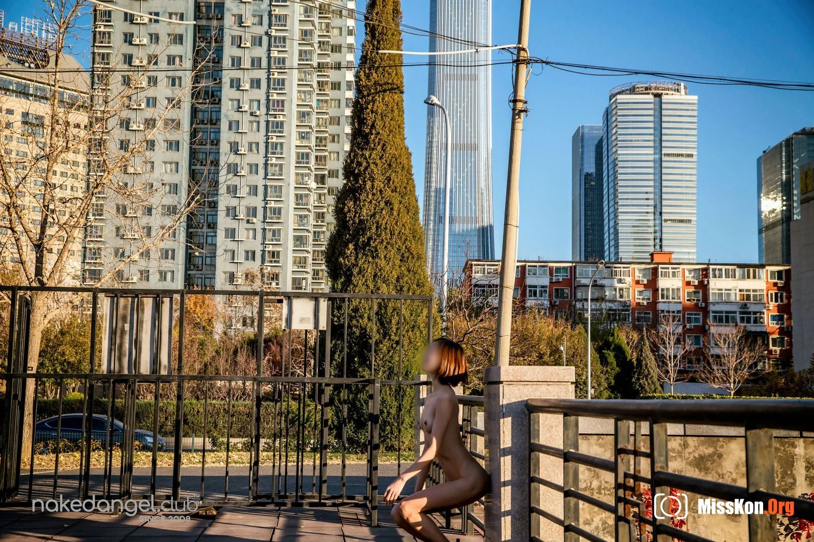 Ariel: Qingfeng Park (2019-01-02) - Photo 14