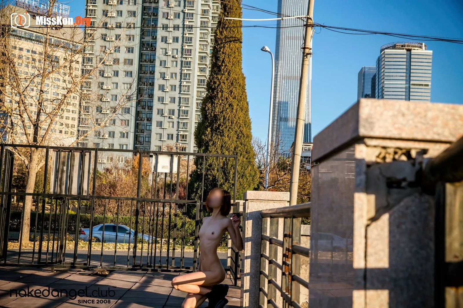 Ariel: Qingfeng Park (2019-01-02) - Photo 15