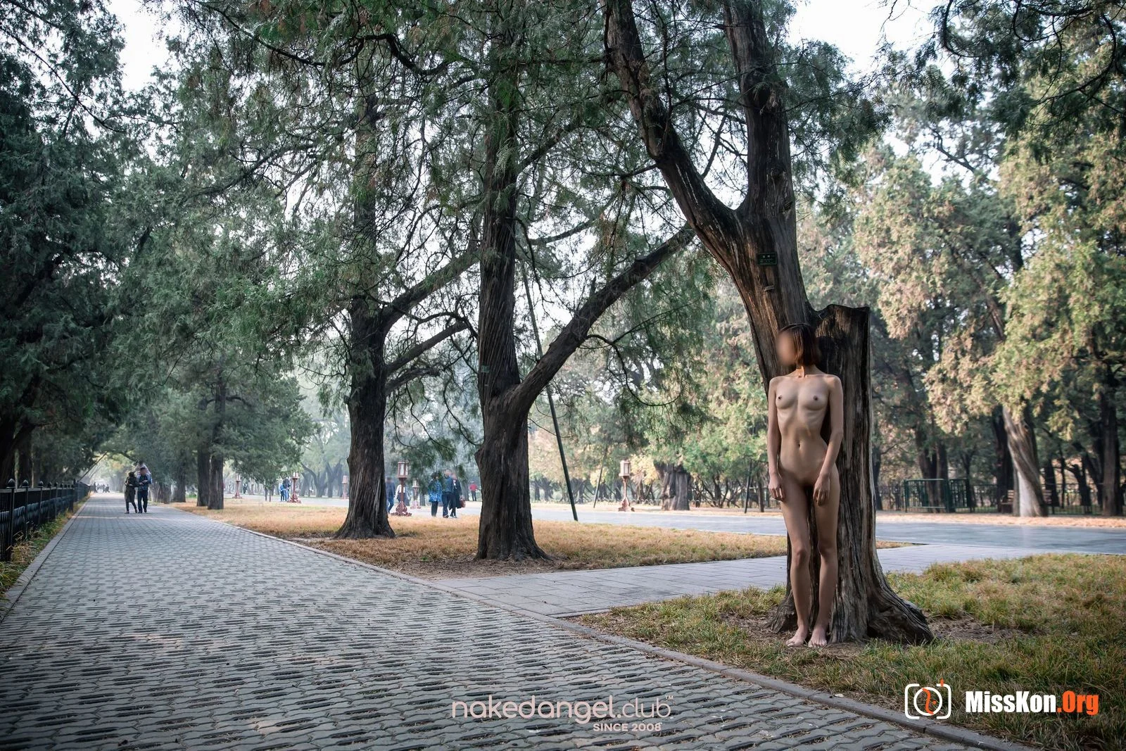 Ariel: Temple of heaven (2019-01-02) - Photo 7