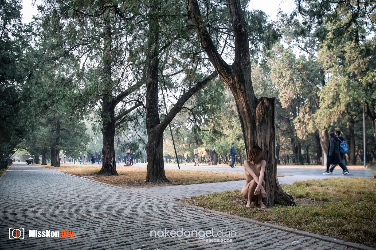 Ariel: Temple of heaven (2019-01-02) - Photo 8