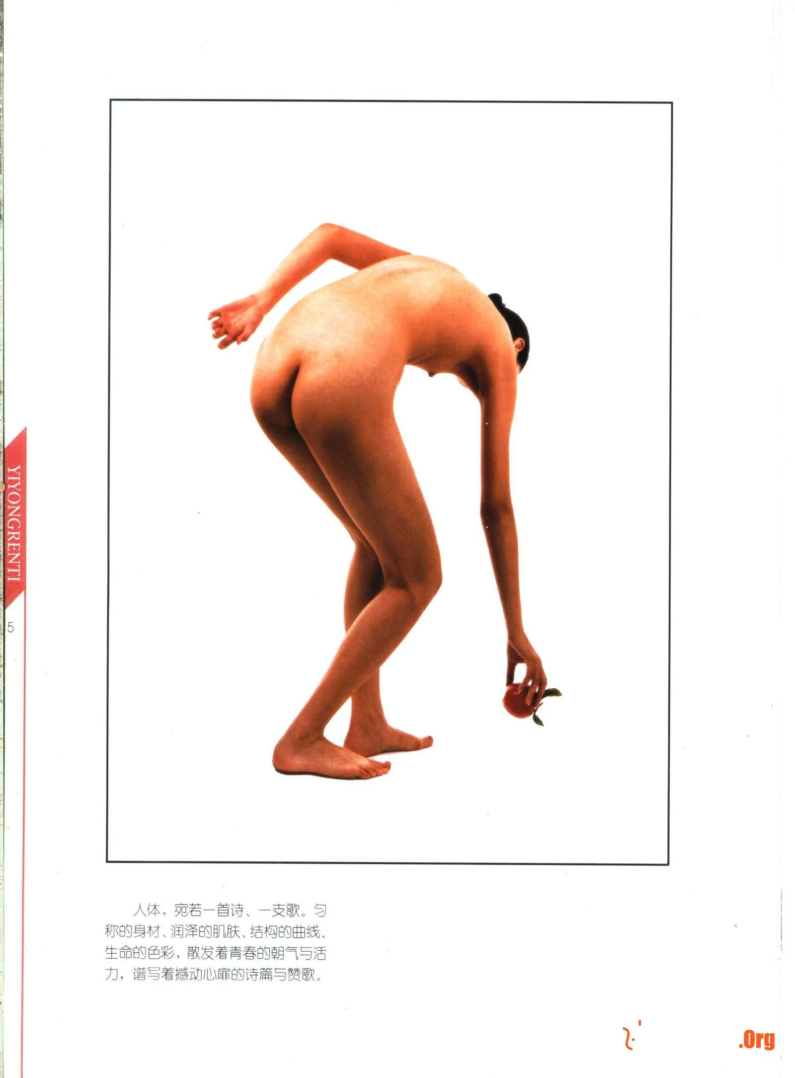Artistic human body (Tianjin People's Fine Arts Publishing House) - Photo 10