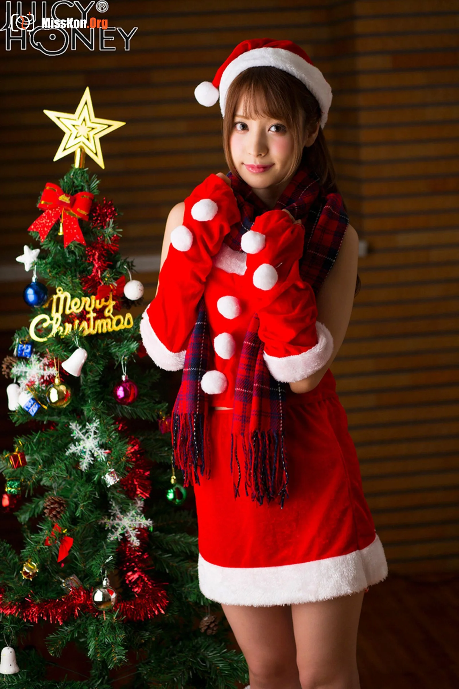 Ayami Junka (jh206 SantaEdition) - Photo 16