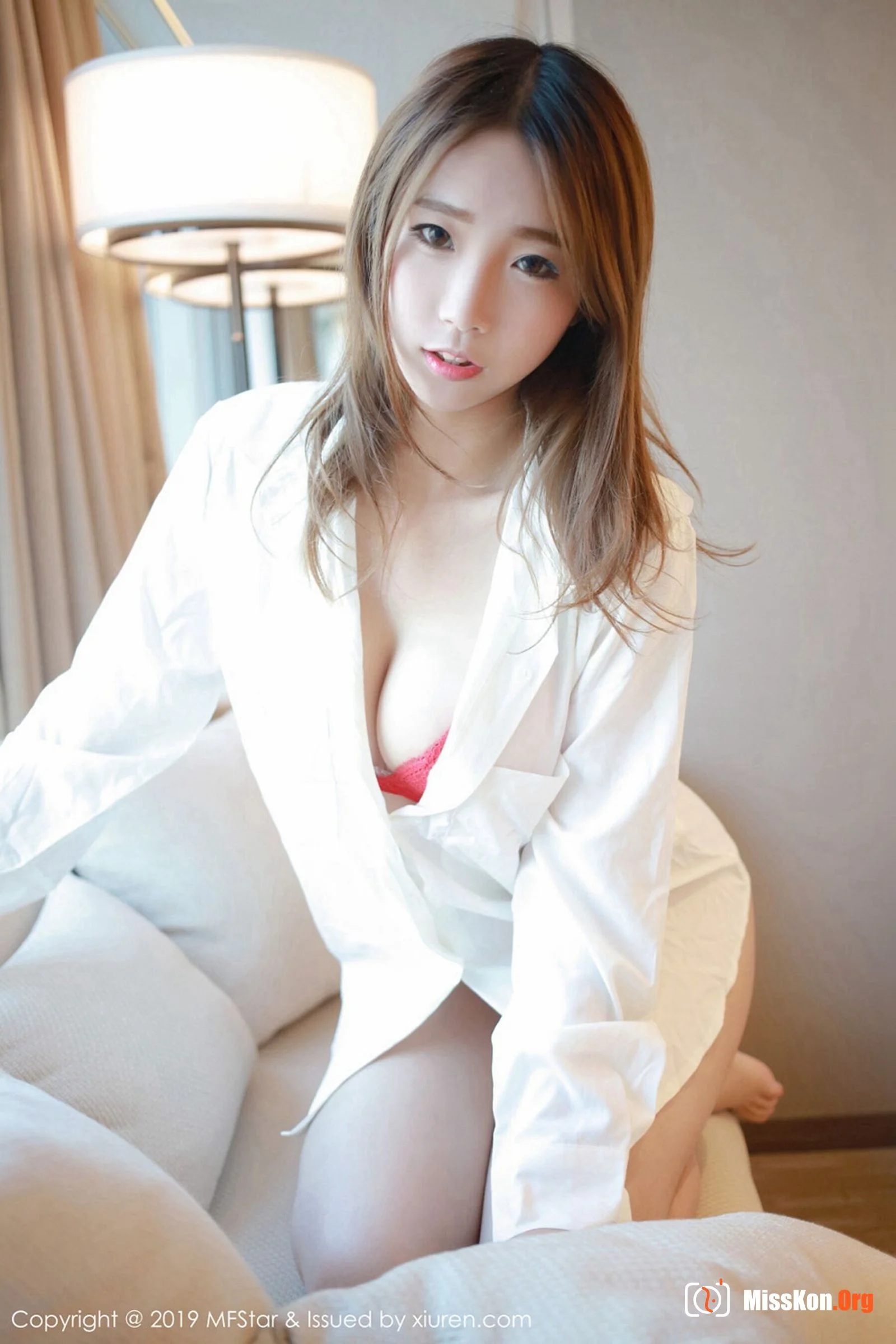 Baoer Fox - Photo 22
