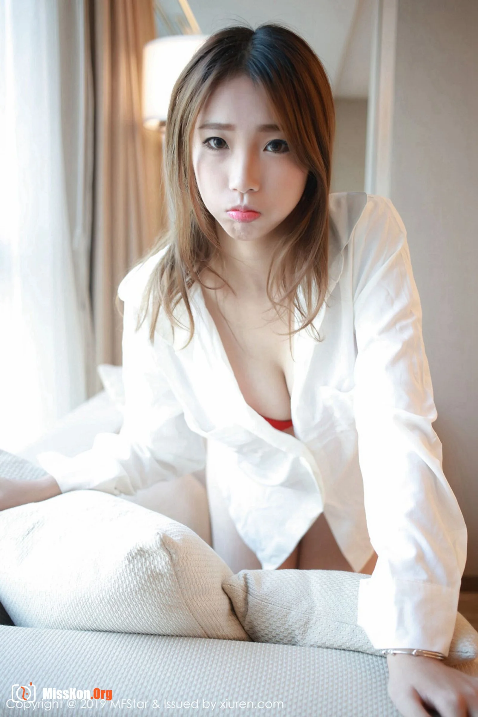 Baoer Fox - Photo 35