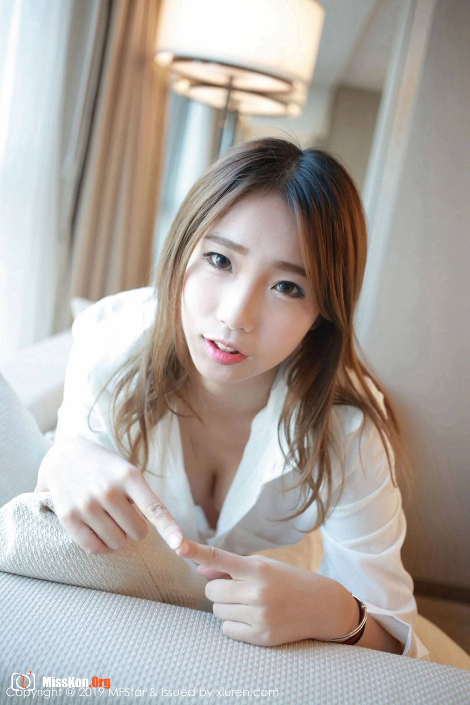 Baoer Fox - Photo 7