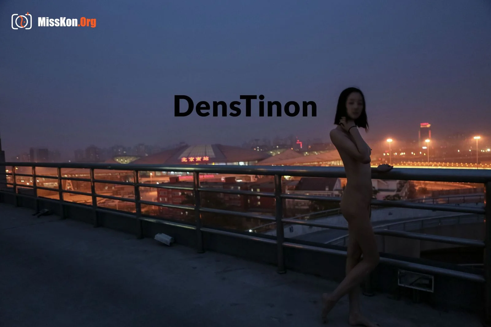 Beijing South Ariel - Photo 8