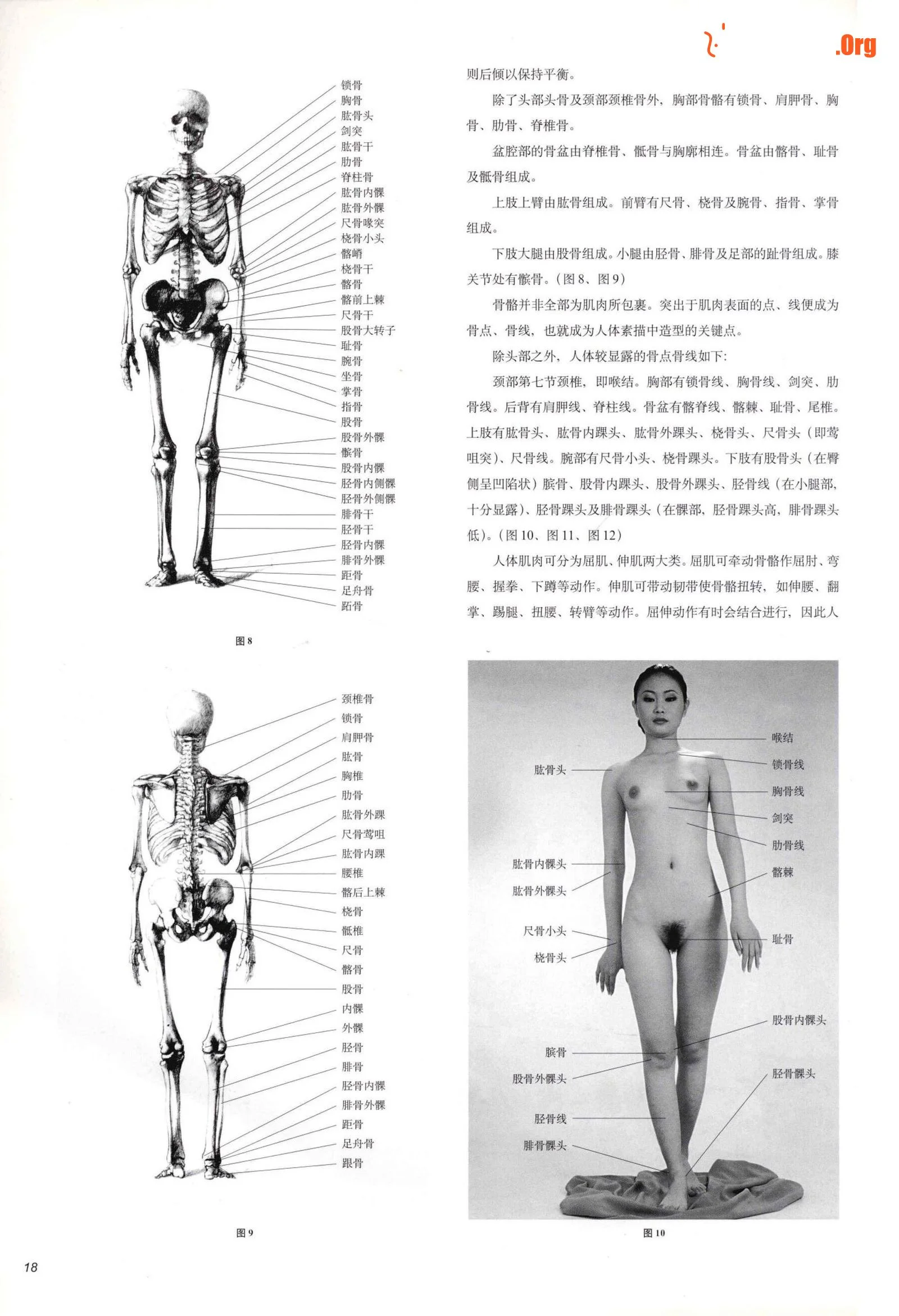 Body painting techniques (Xiling Seal Society) - Photo 20