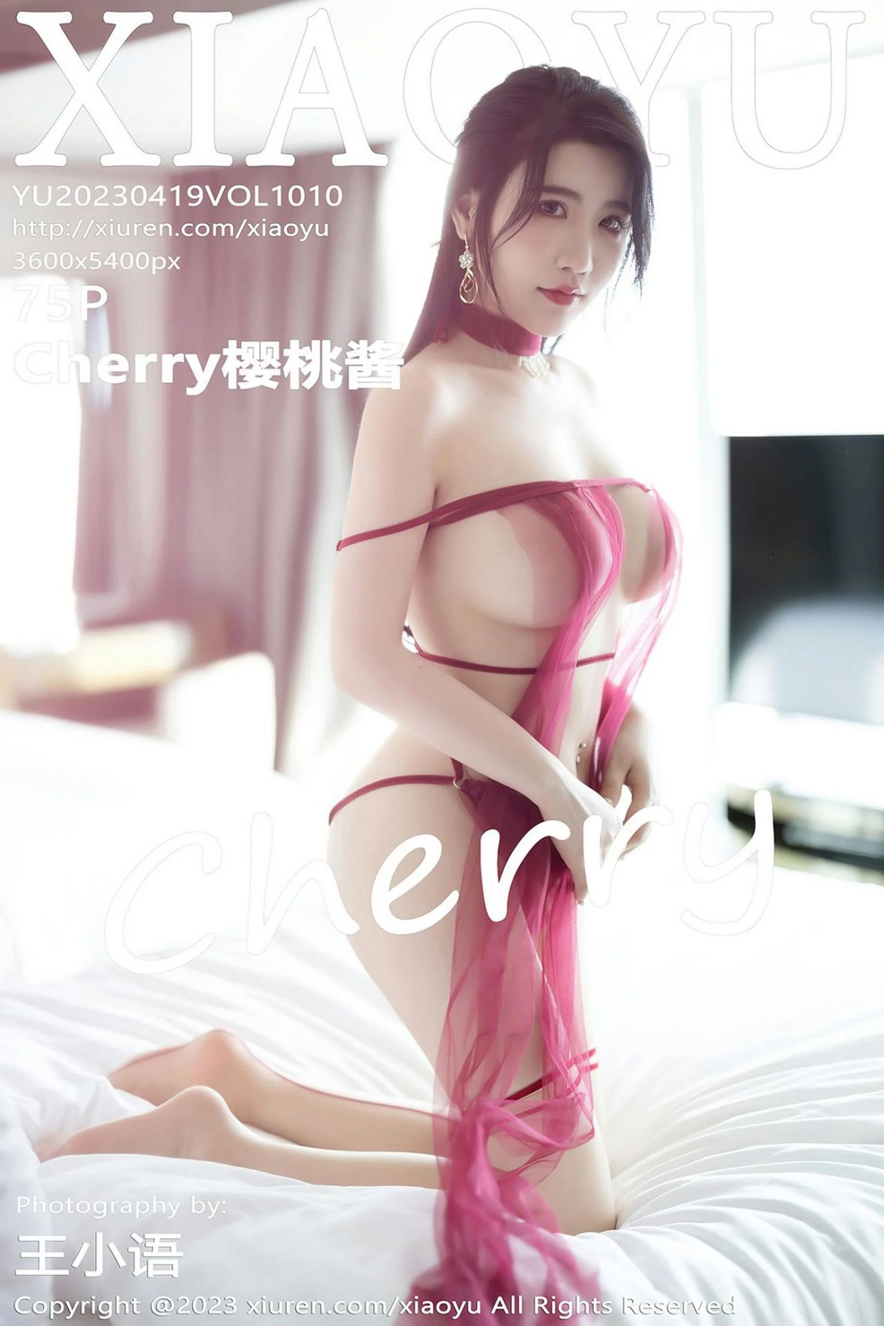 Cherry sauce