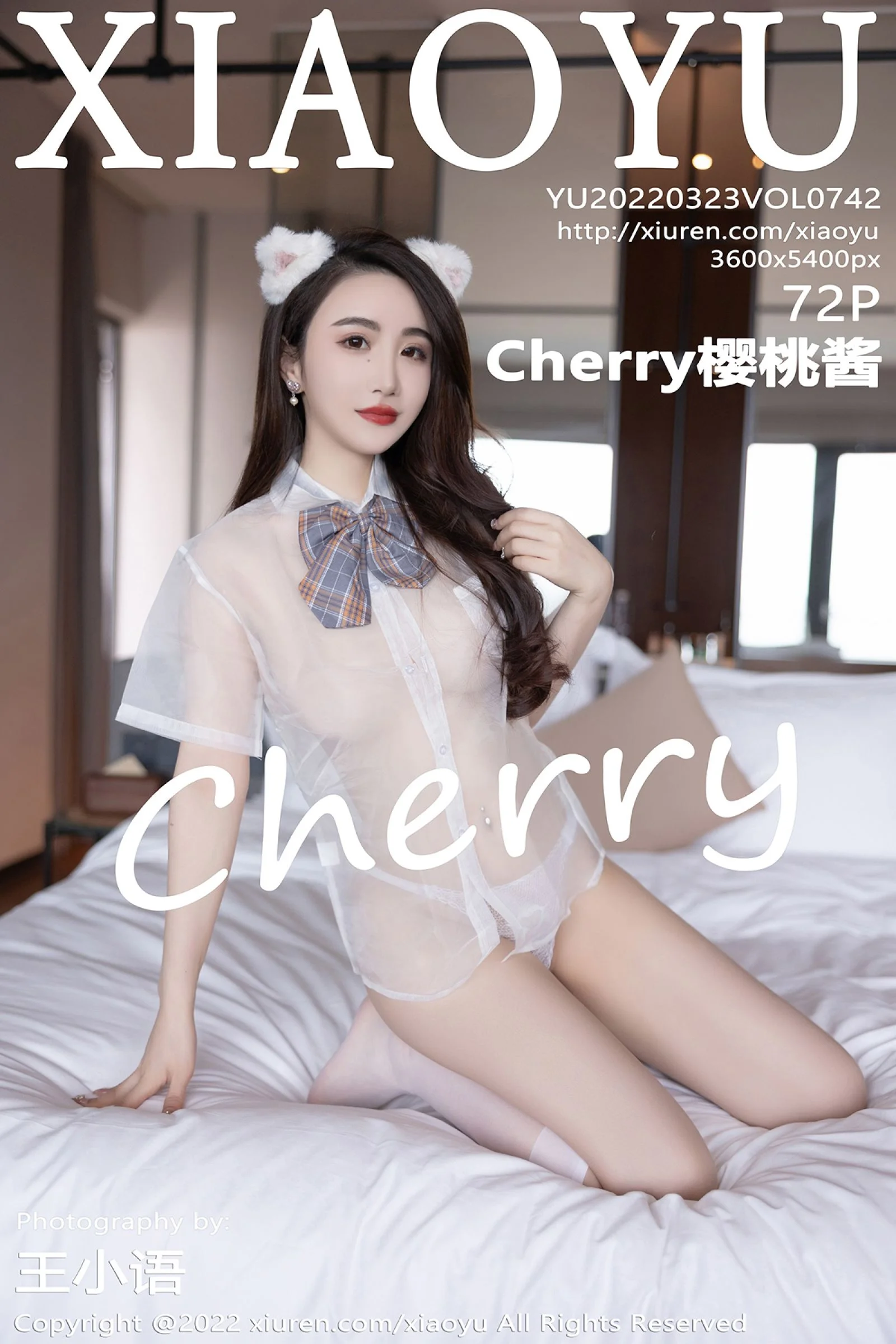 Cherry sauce