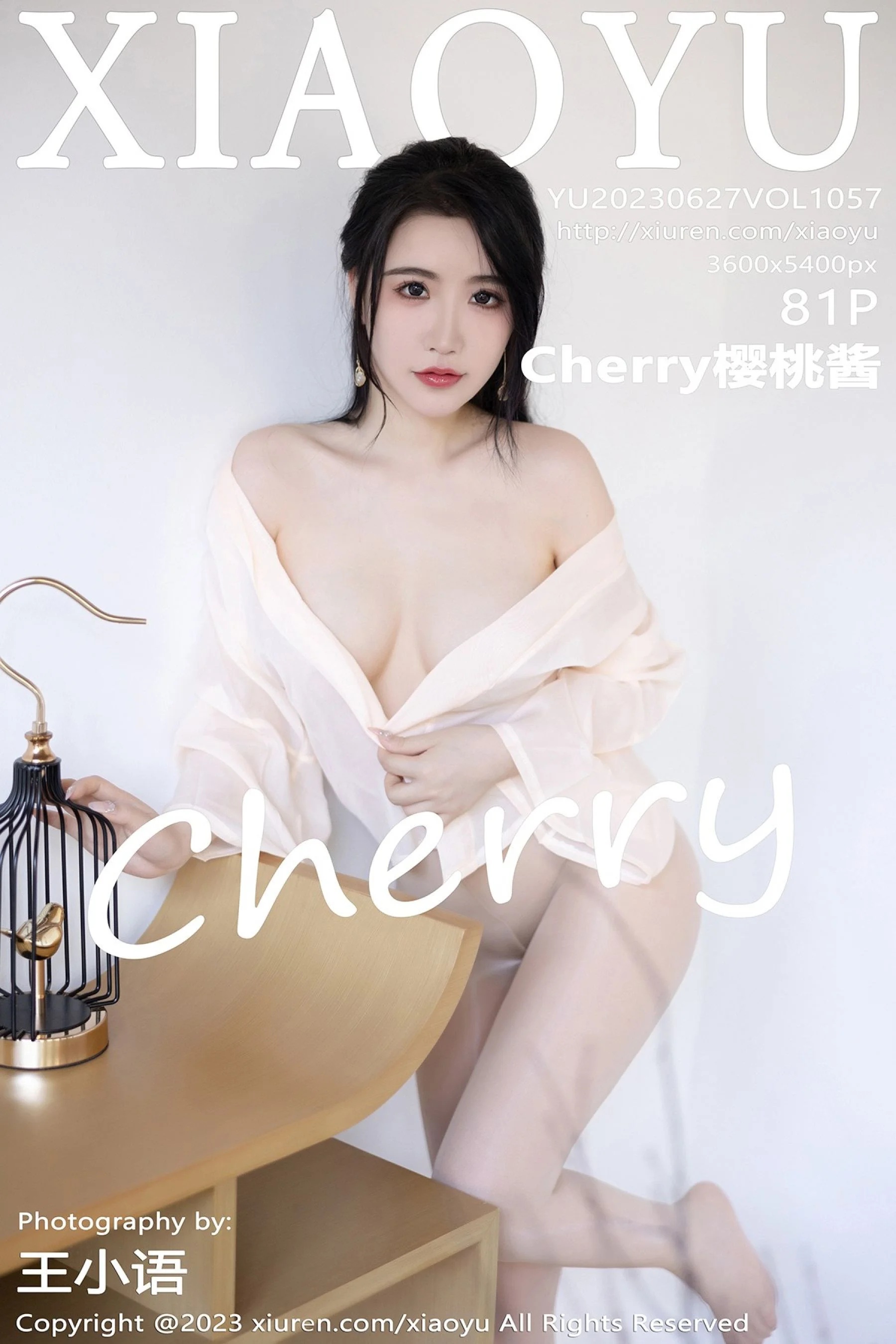 Cherry sauce
