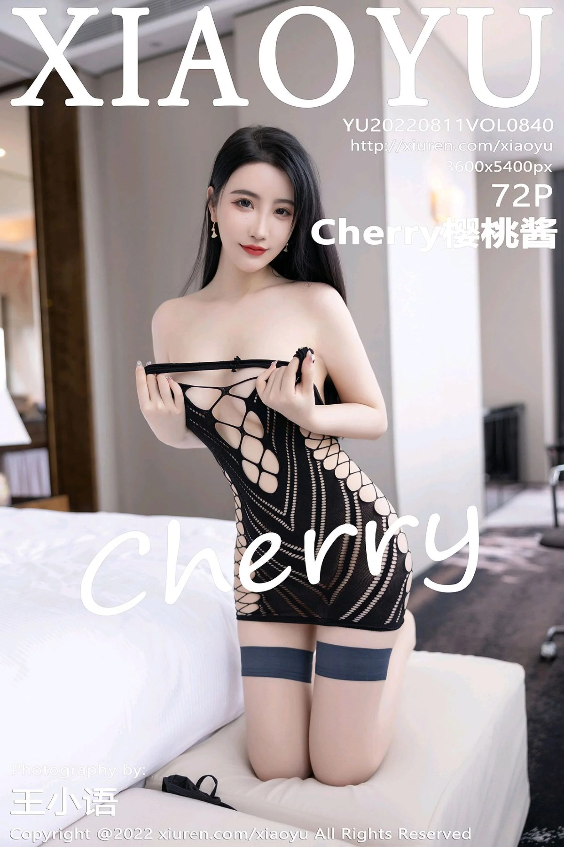Cherry sauce