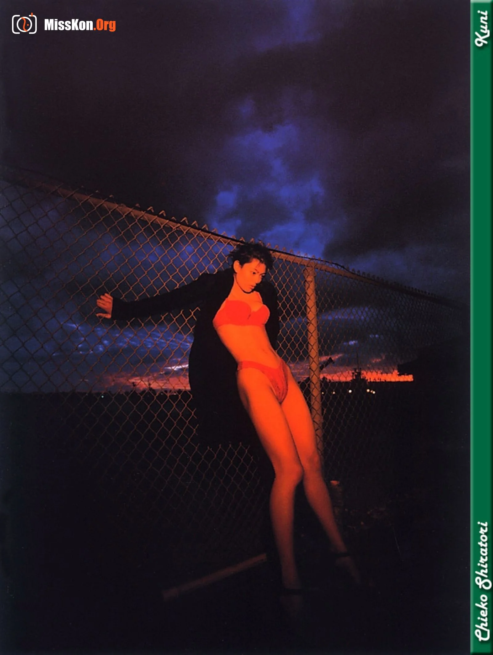 Chieko Shiratori - Photo 38