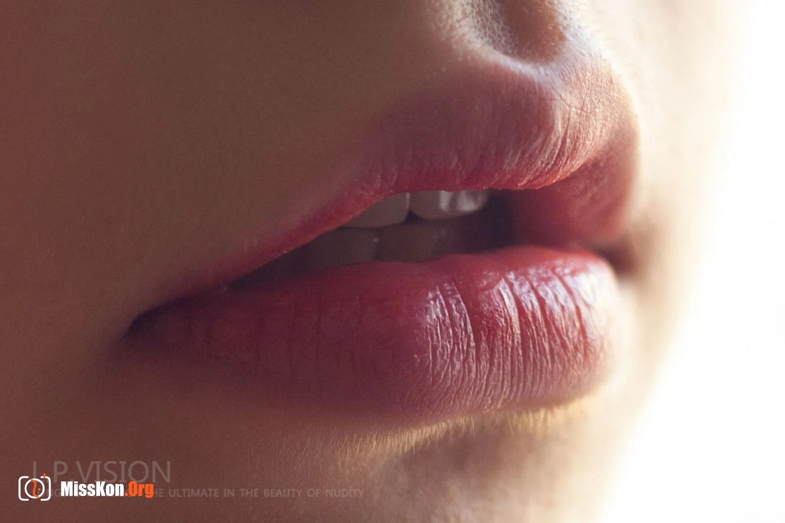 Crowdfunding Girl Series No.04 - Photo 2