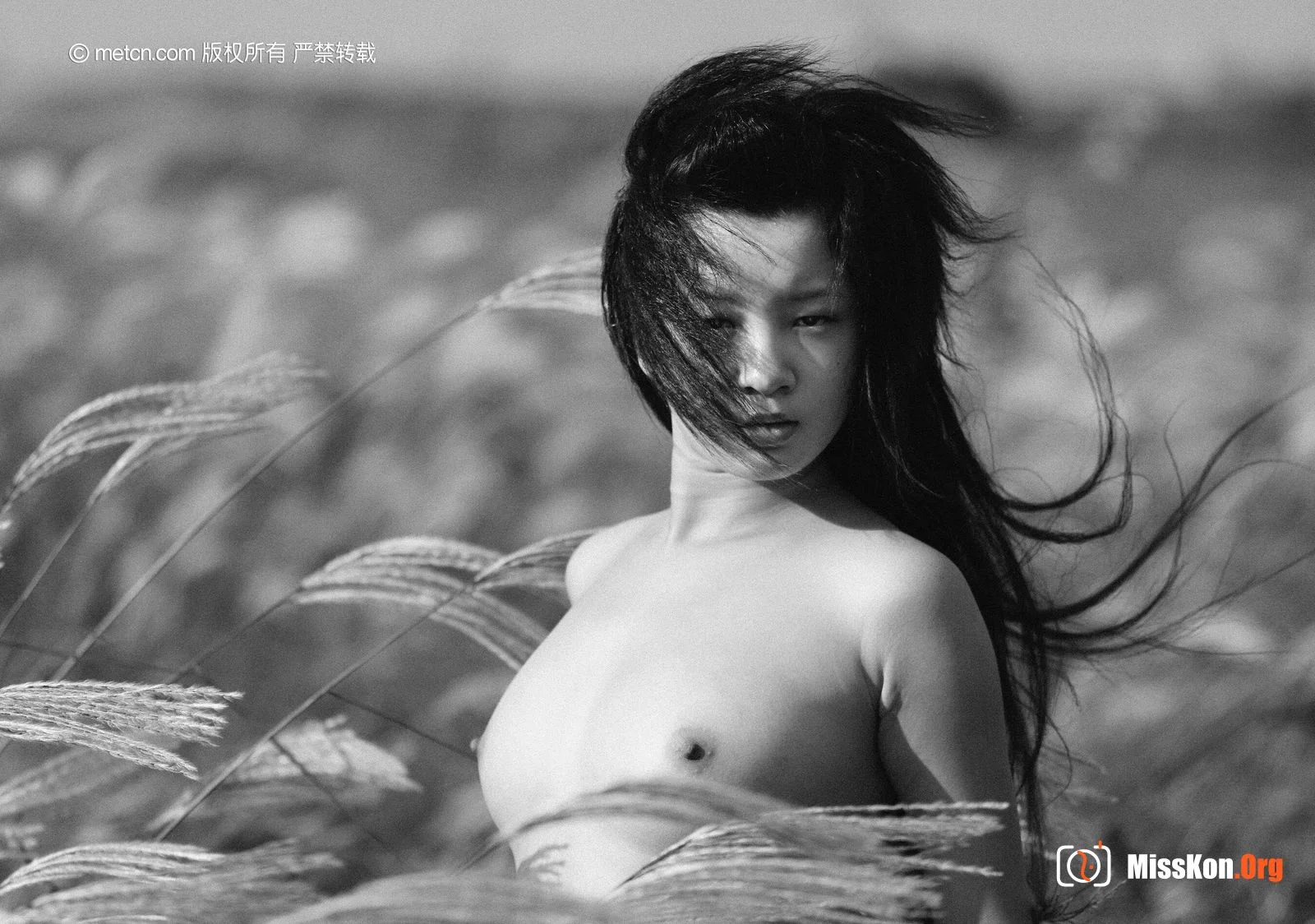 邓晶《夏风中的美女》（2009-10-12） - 照片 12