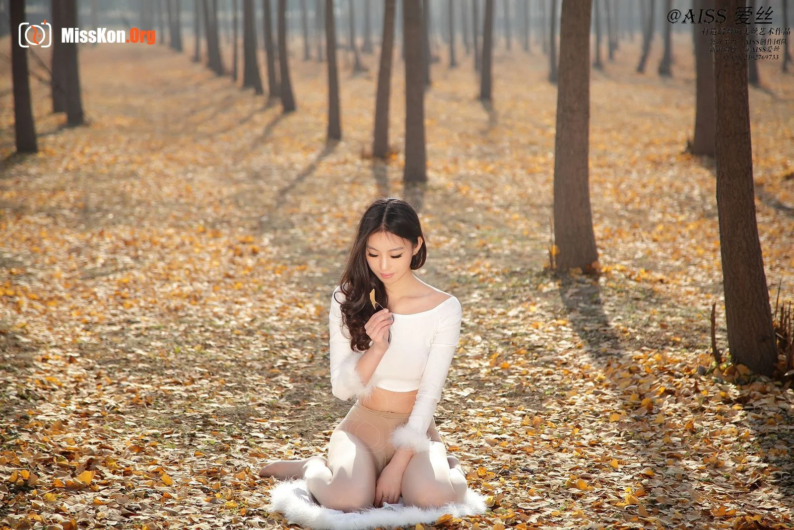 Diamond Edition: F4040: Day silk homesick (F4040) - Photo 4
