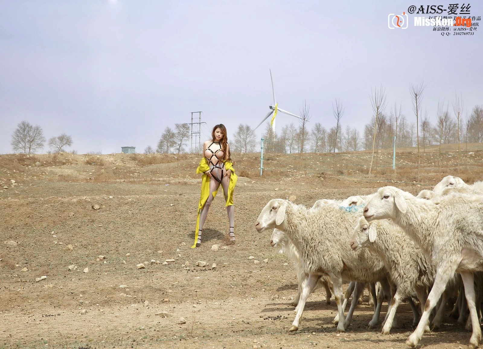 Diamond Edition: F5015 "Travel Diary" Journey Chapter (F5015) - Photo 103