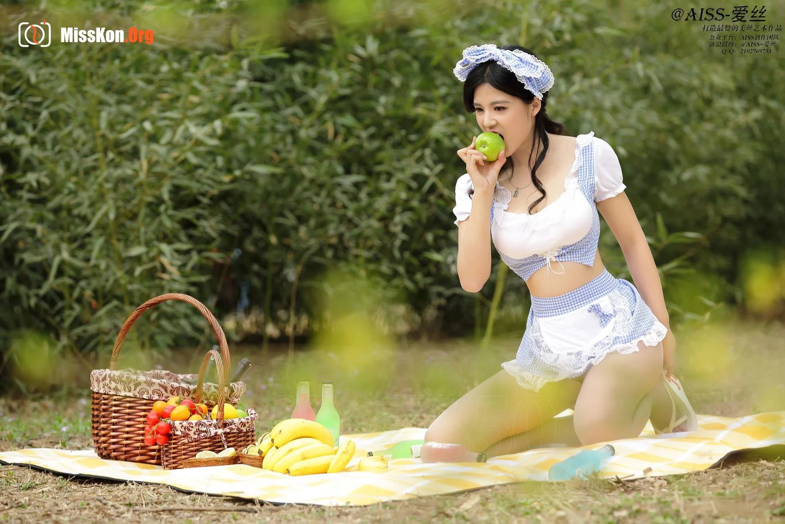 Diamond version: F5012: Holiday picnic (F5012) - Photo 14