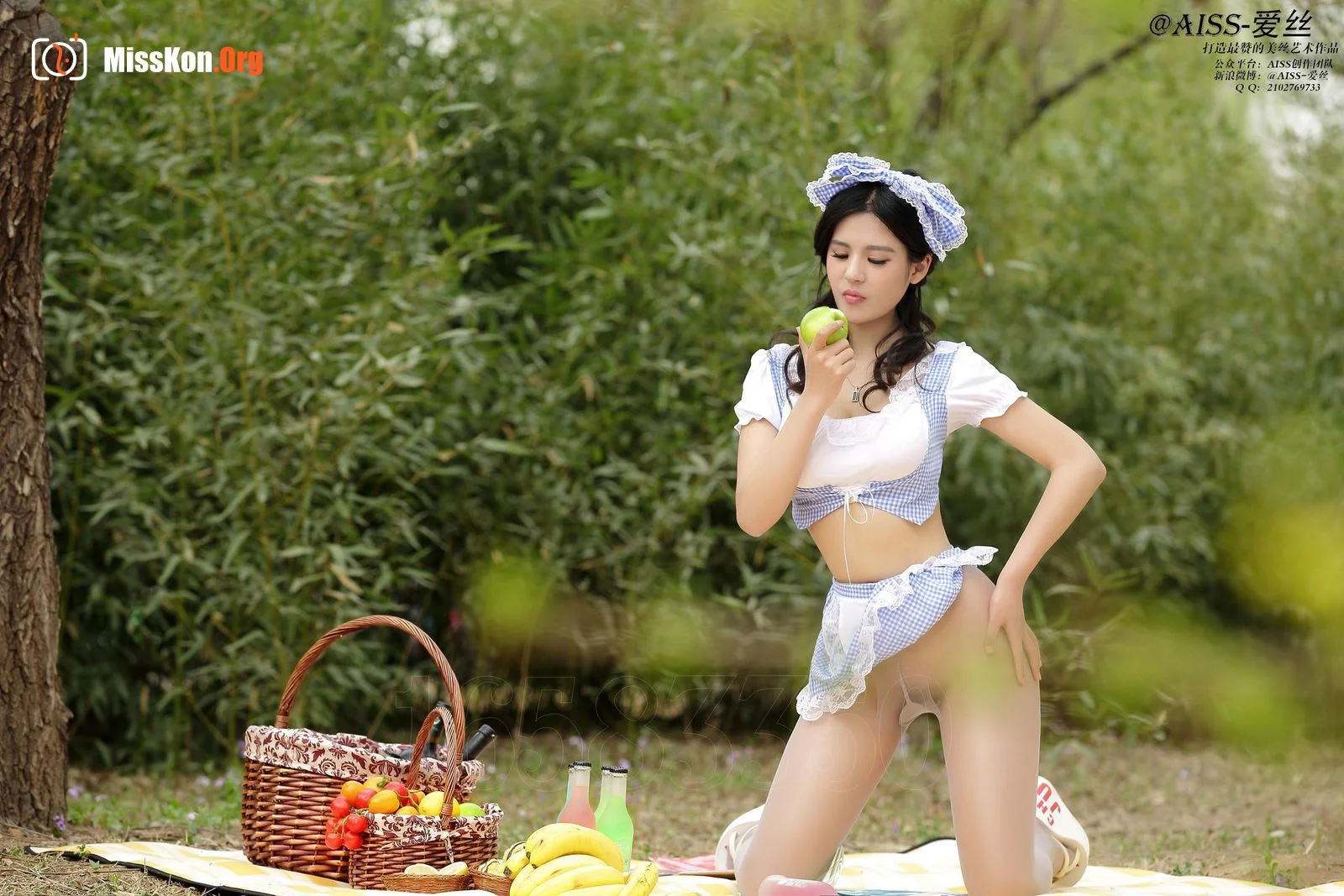 Diamond version: F5012: Holiday picnic (F5012) - Photo 15