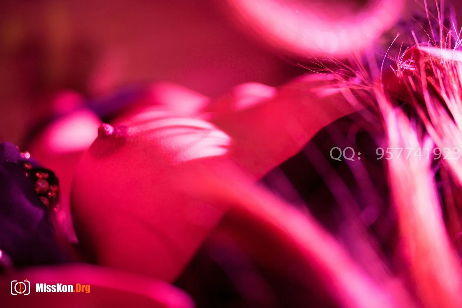Eden photo crowdfunding customized works (Garden of Eden Photo) - Photo 2