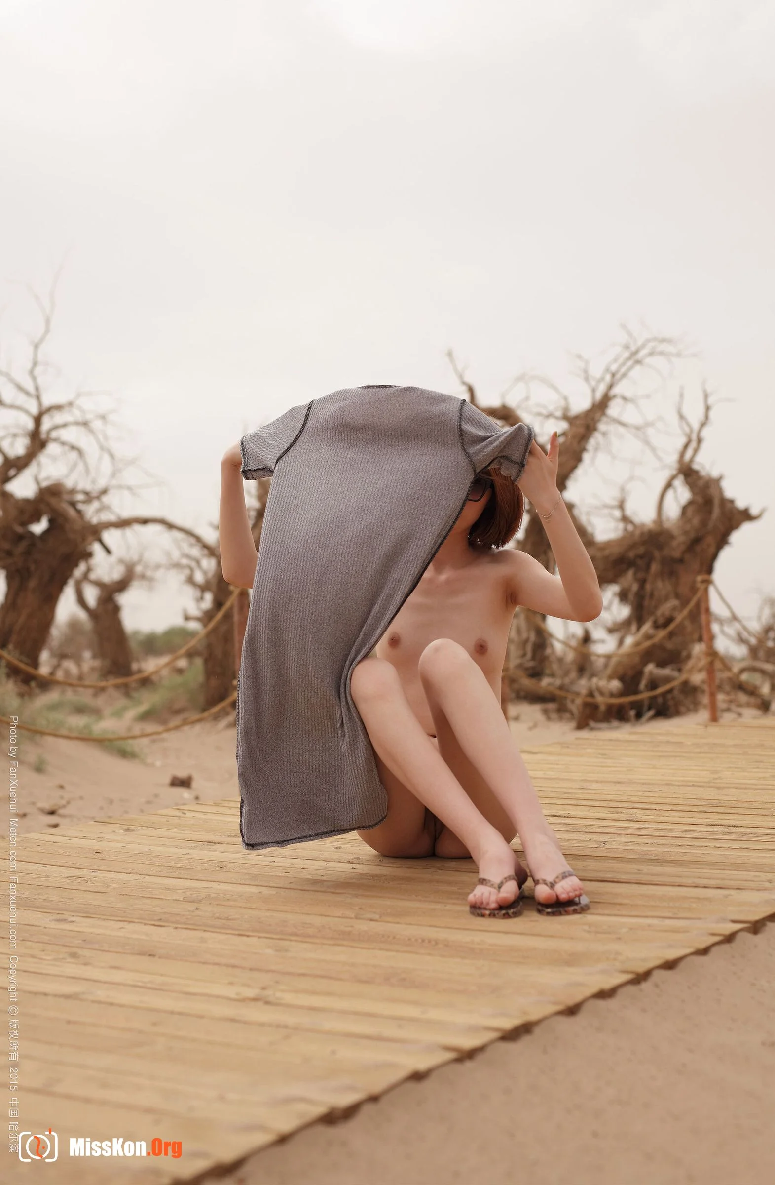 Elizabeth: Plank road solid color (2015-12-12) - Photo 3